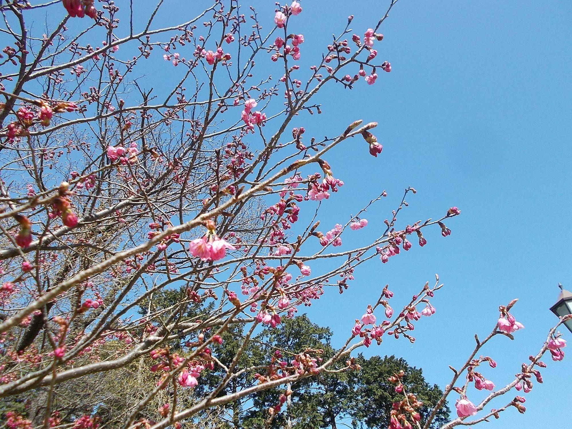 DSCN1416.jpg