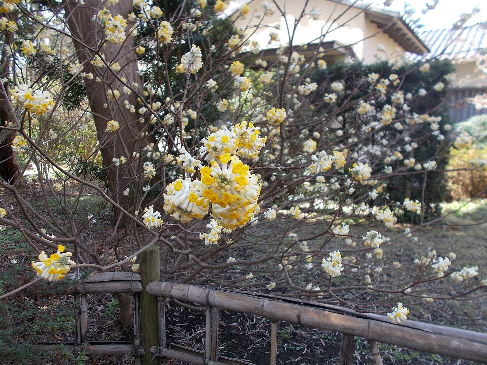 DSCN1427.jpg