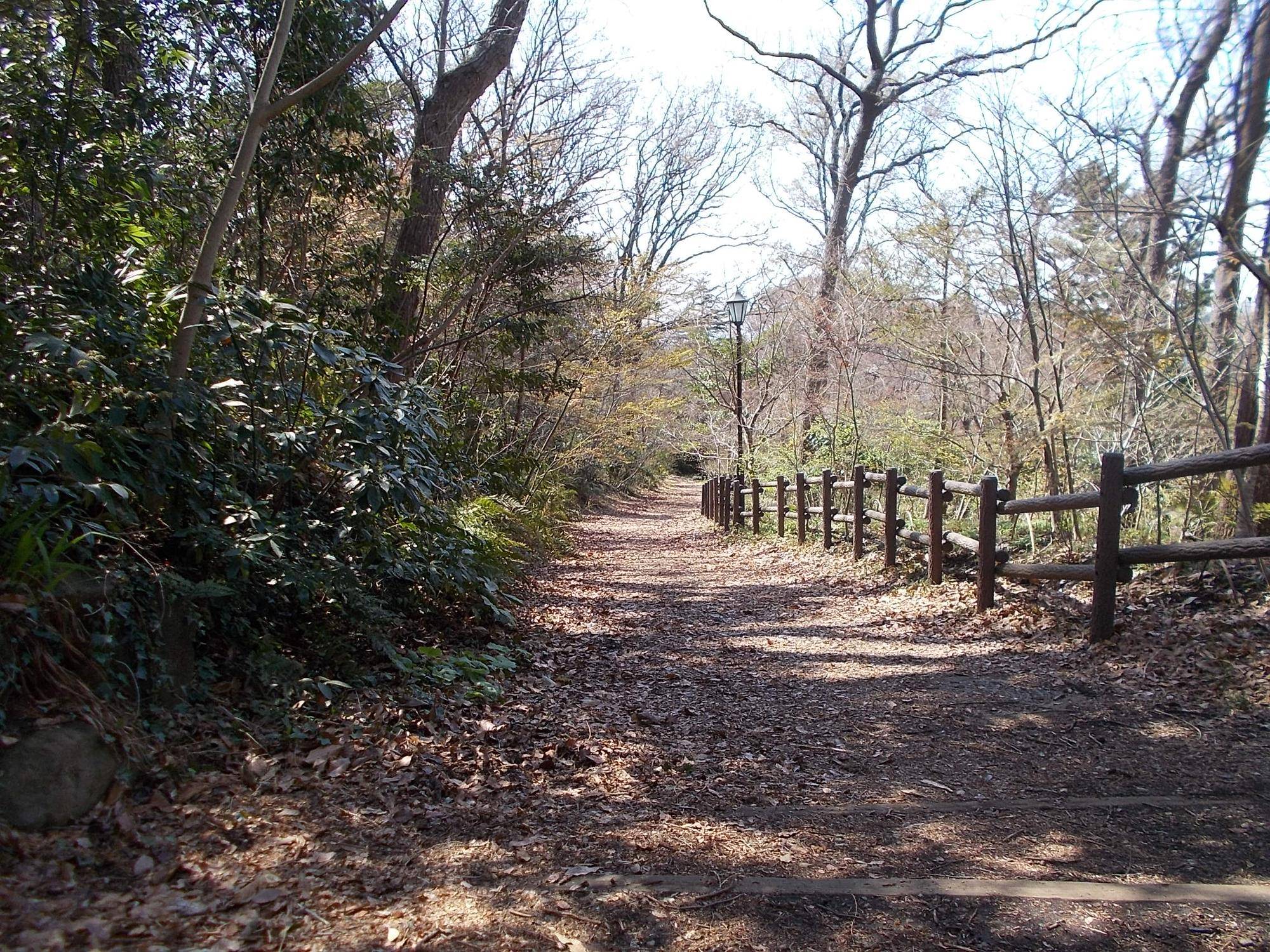 DSCN1431.jpg