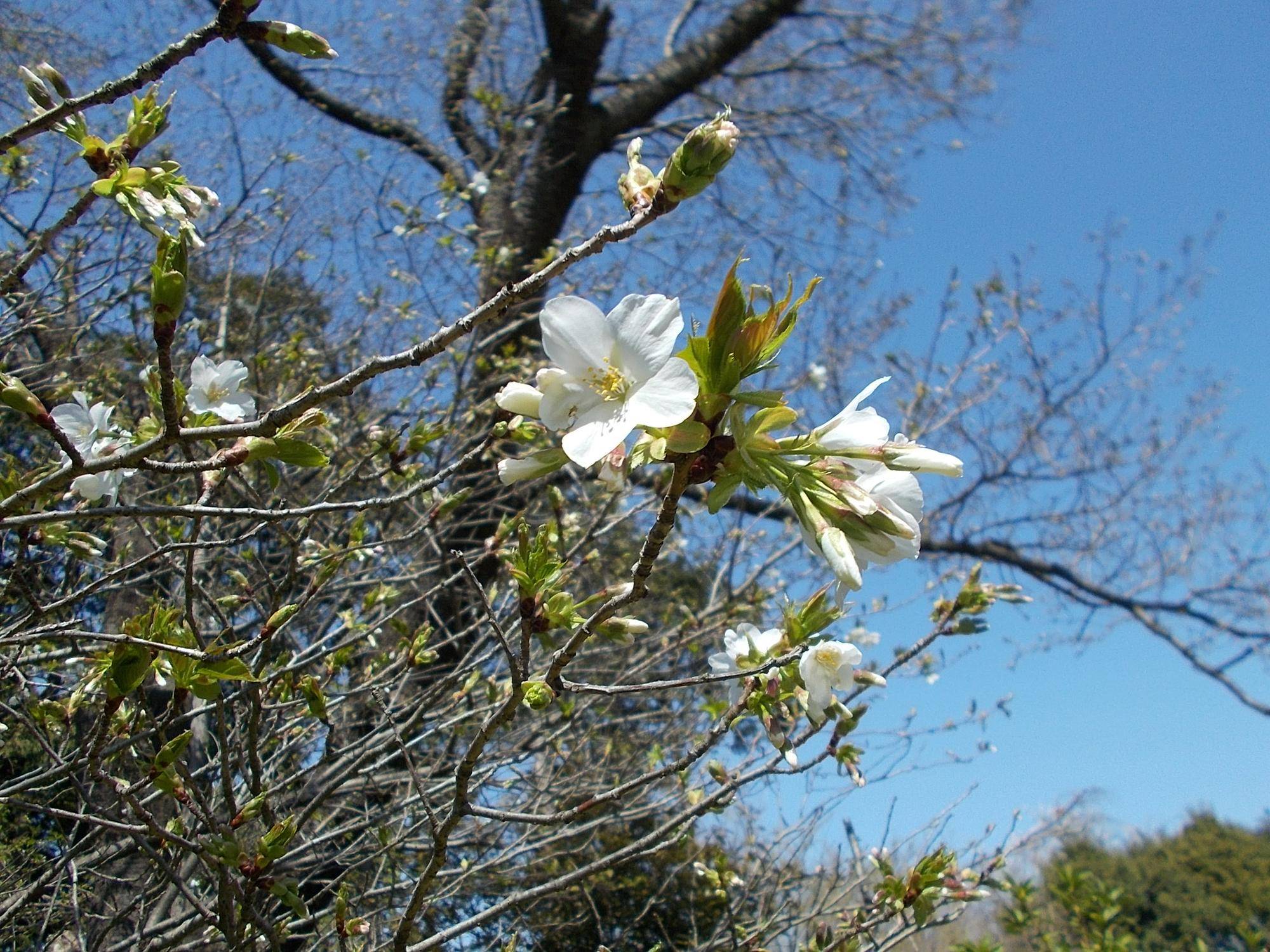 DSCN1434.jpg