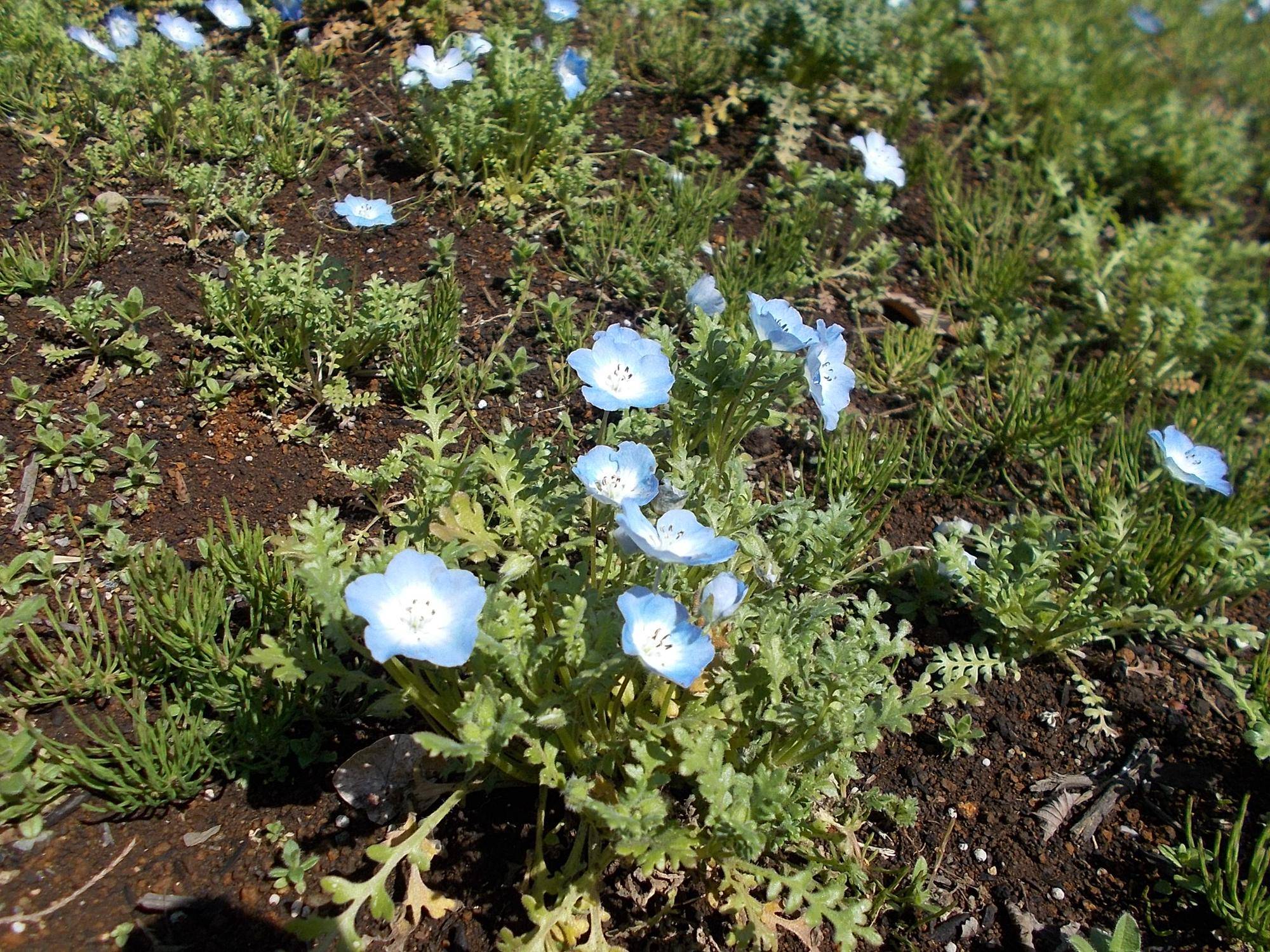 DSCN1438.jpg
