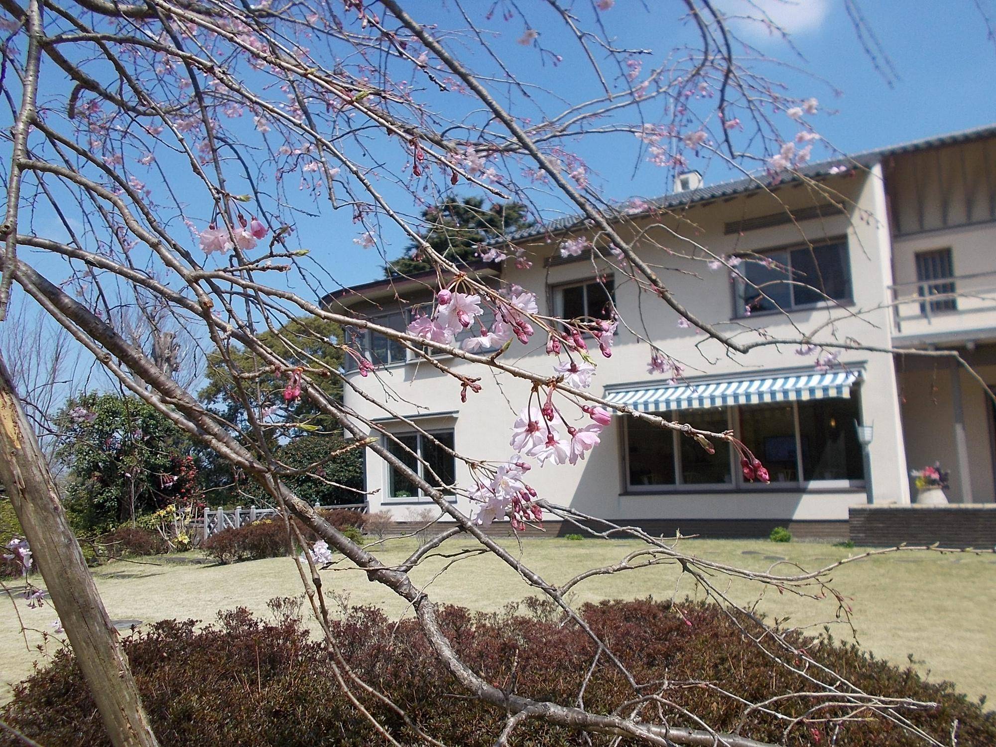 DSCN1443.jpg
