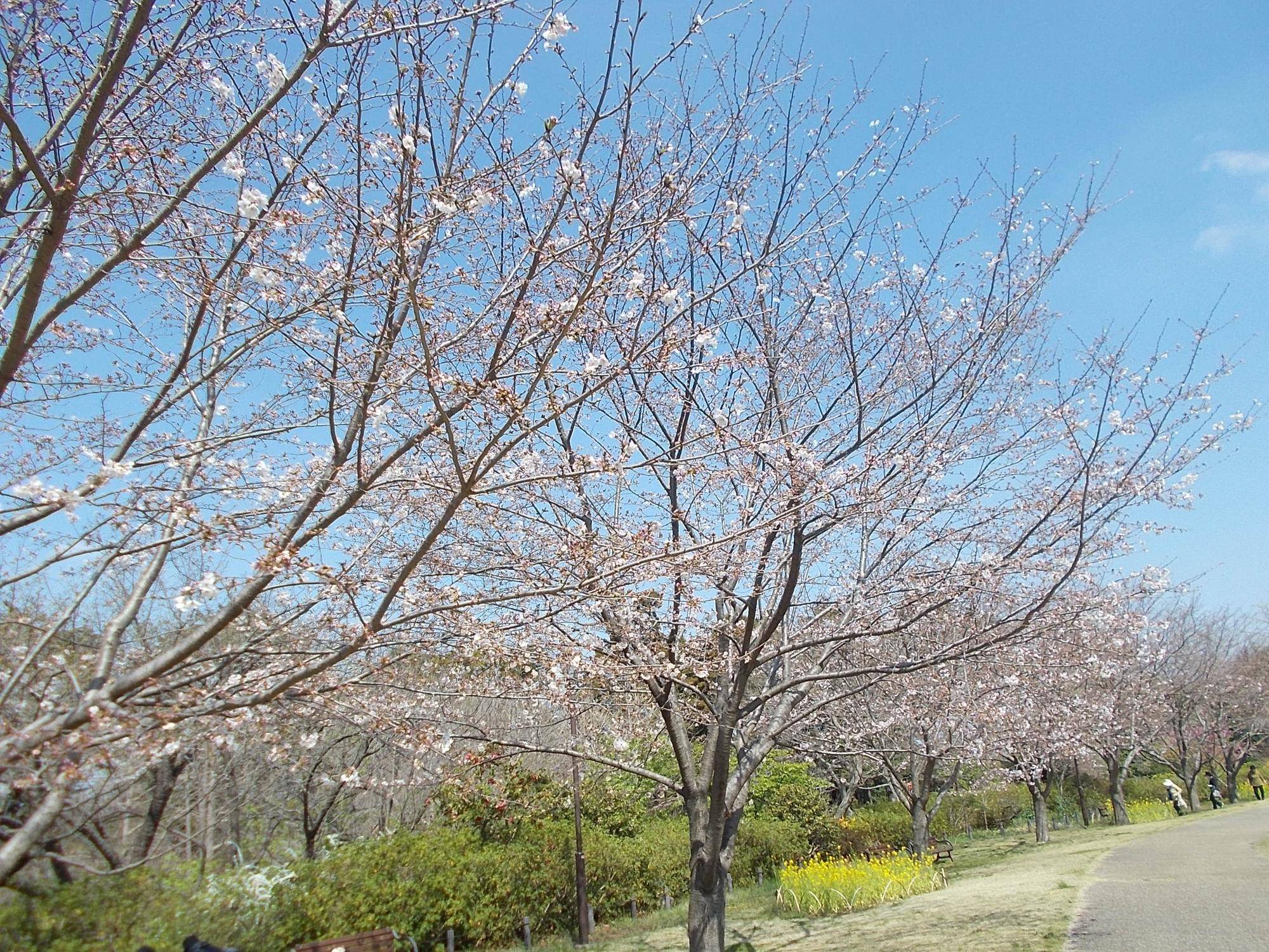 DSCN1449.jpg