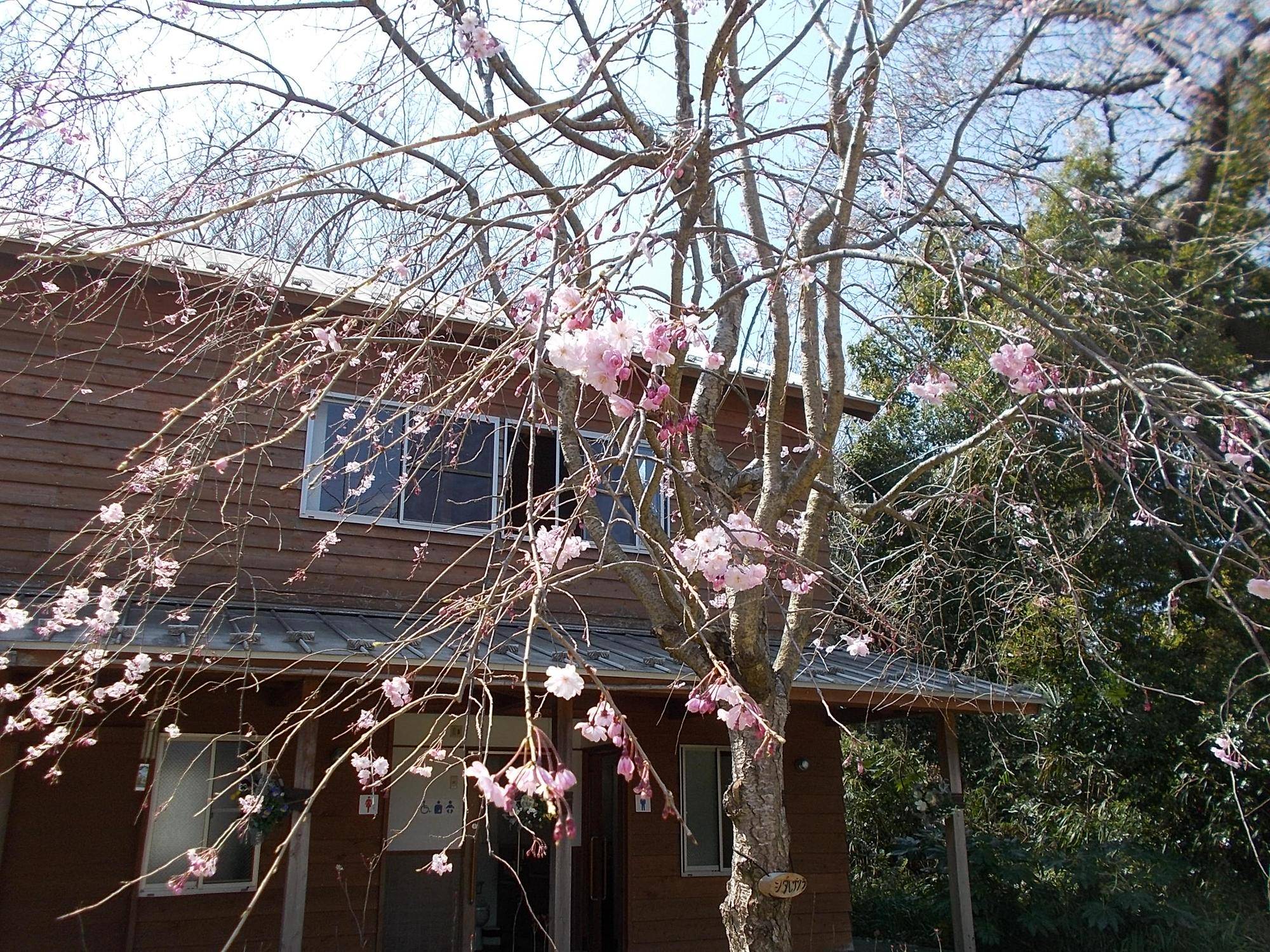 DSCN1455.jpg