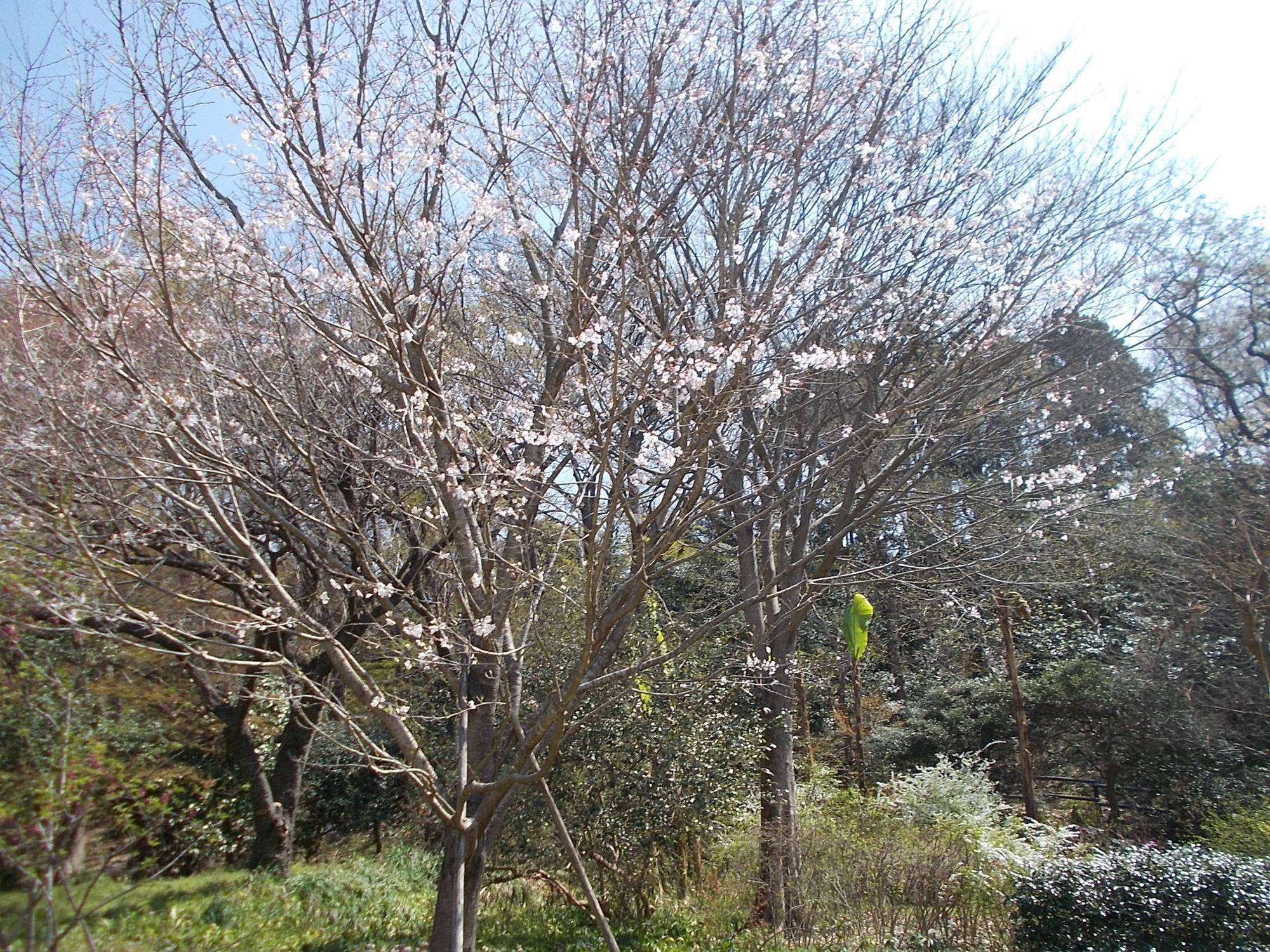 DSCN1461.jpg