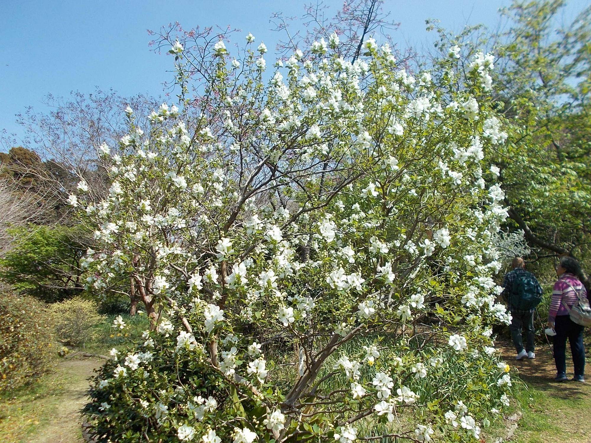 DSCN1463.jpg