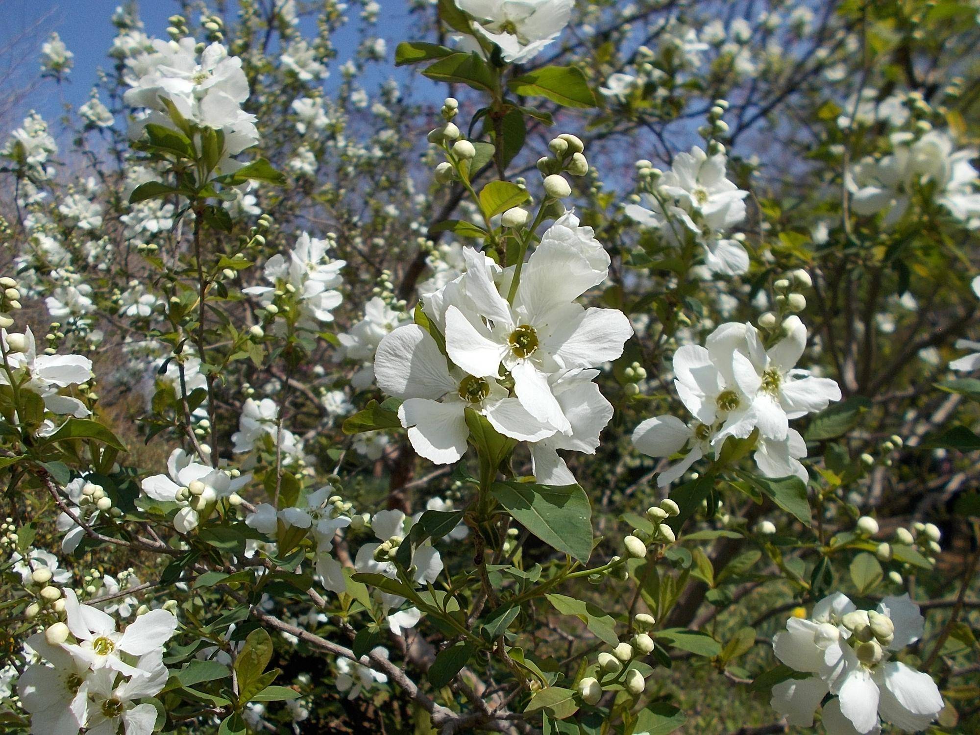 DSCN1465.jpg