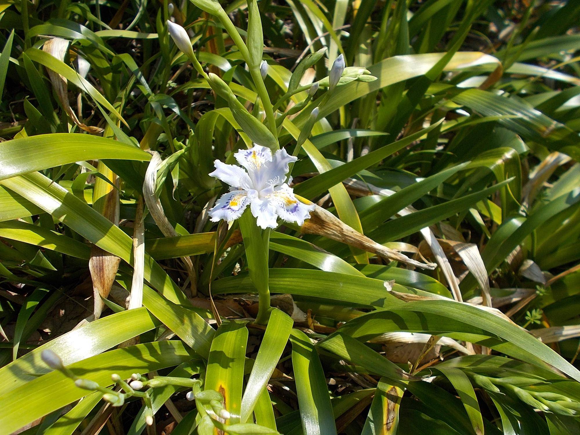 DSCN1490.jpg