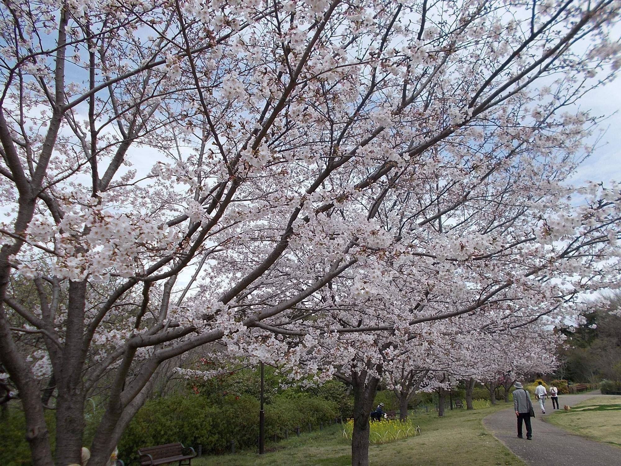 DSCN1497.jpg