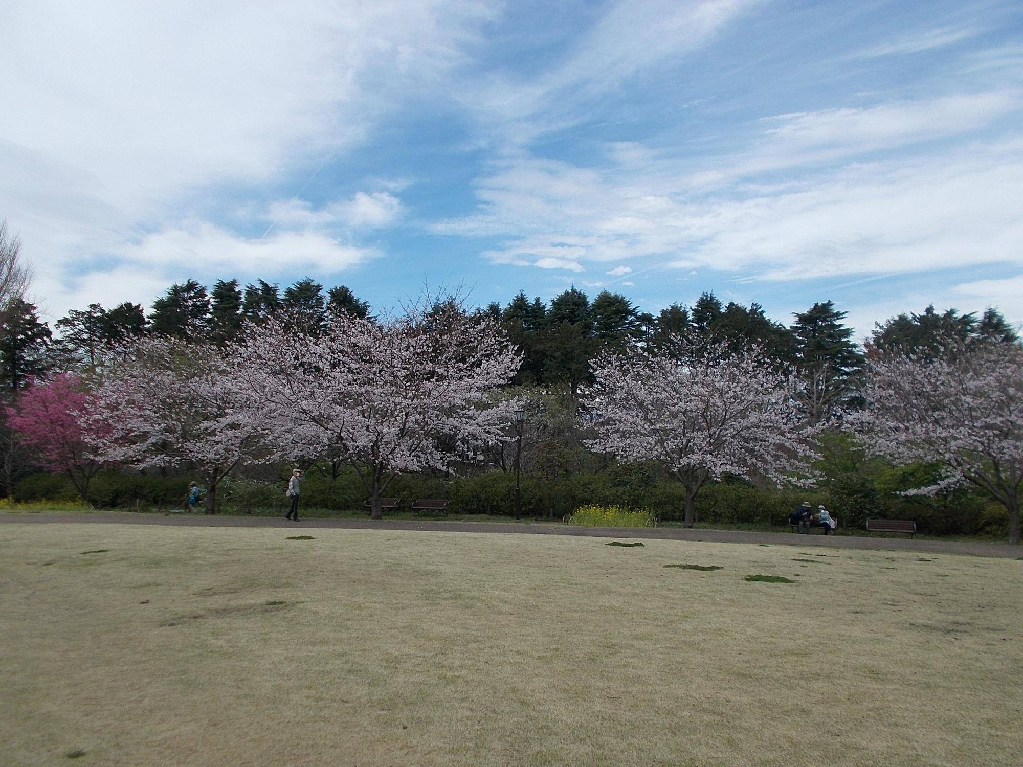 DSCN1503.jpg