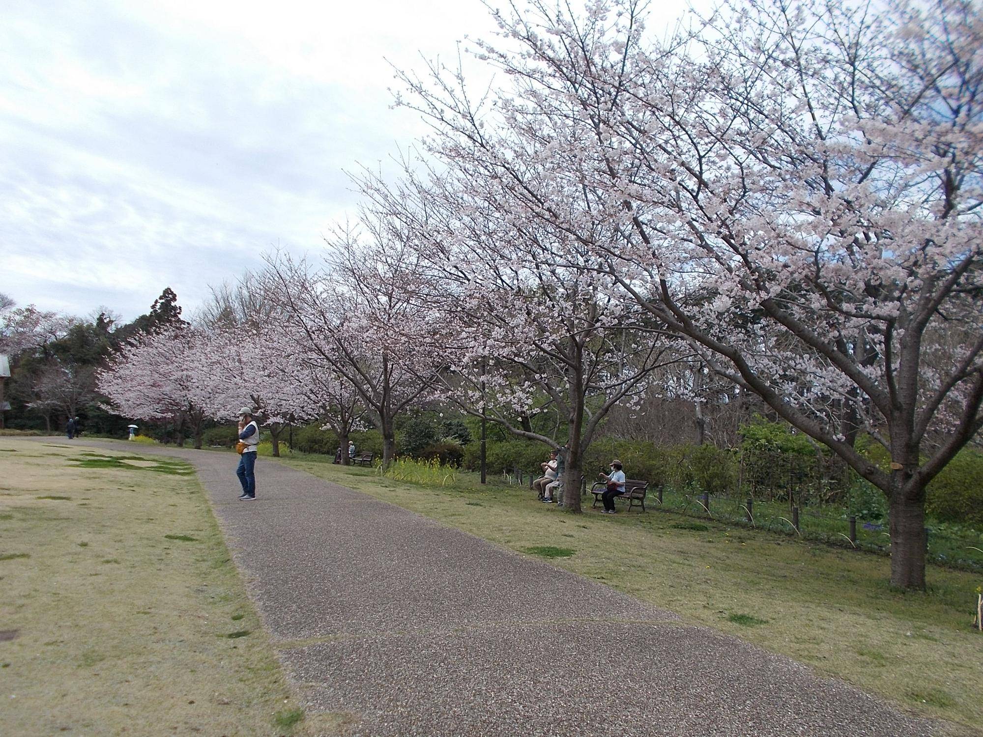 DSCN1505.jpg