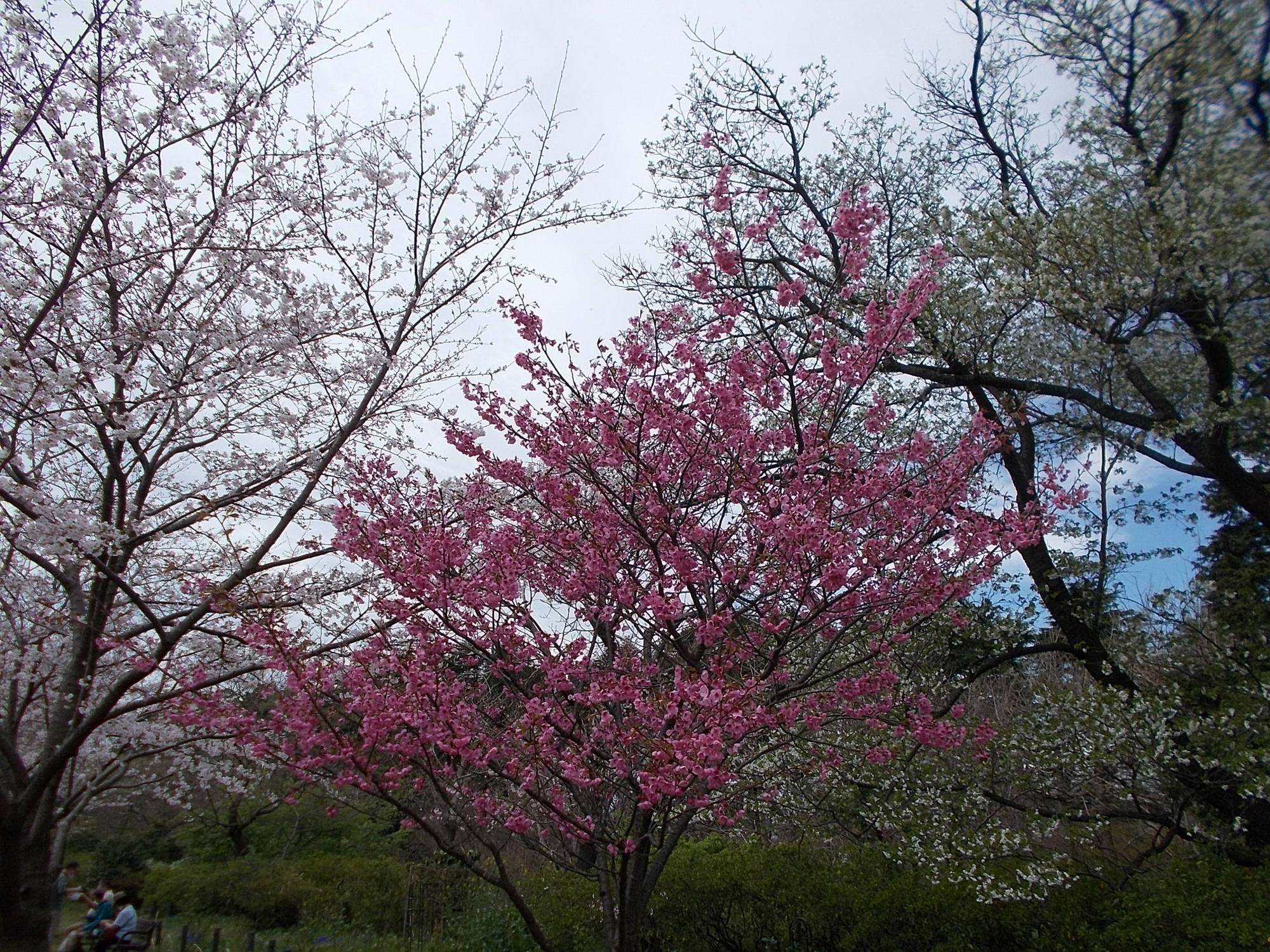 DSCN1509.jpg