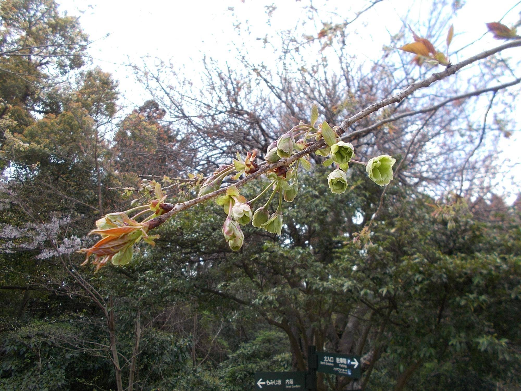 DSCN1603.jpg