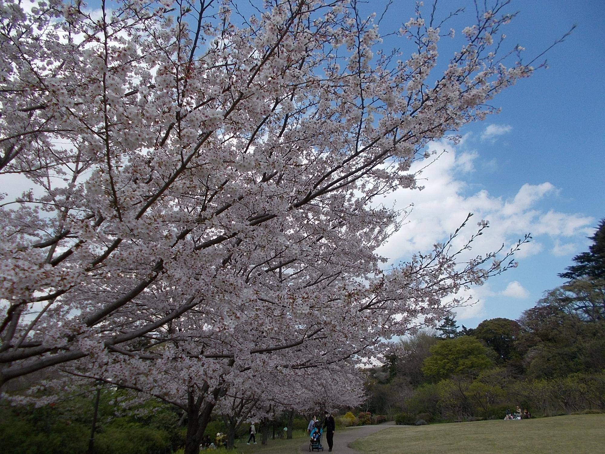 DSCN1608.jpg
