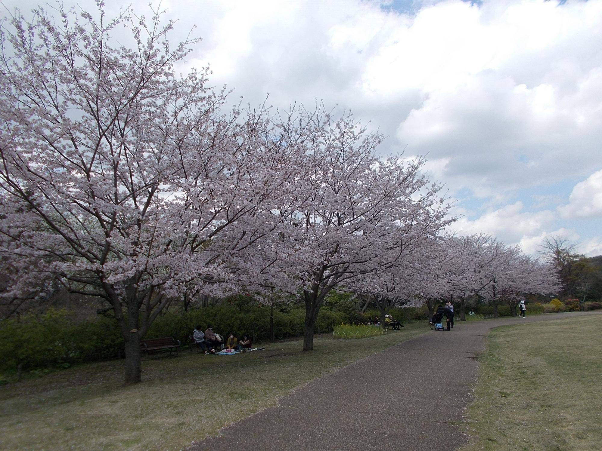 DSCN1609.jpg