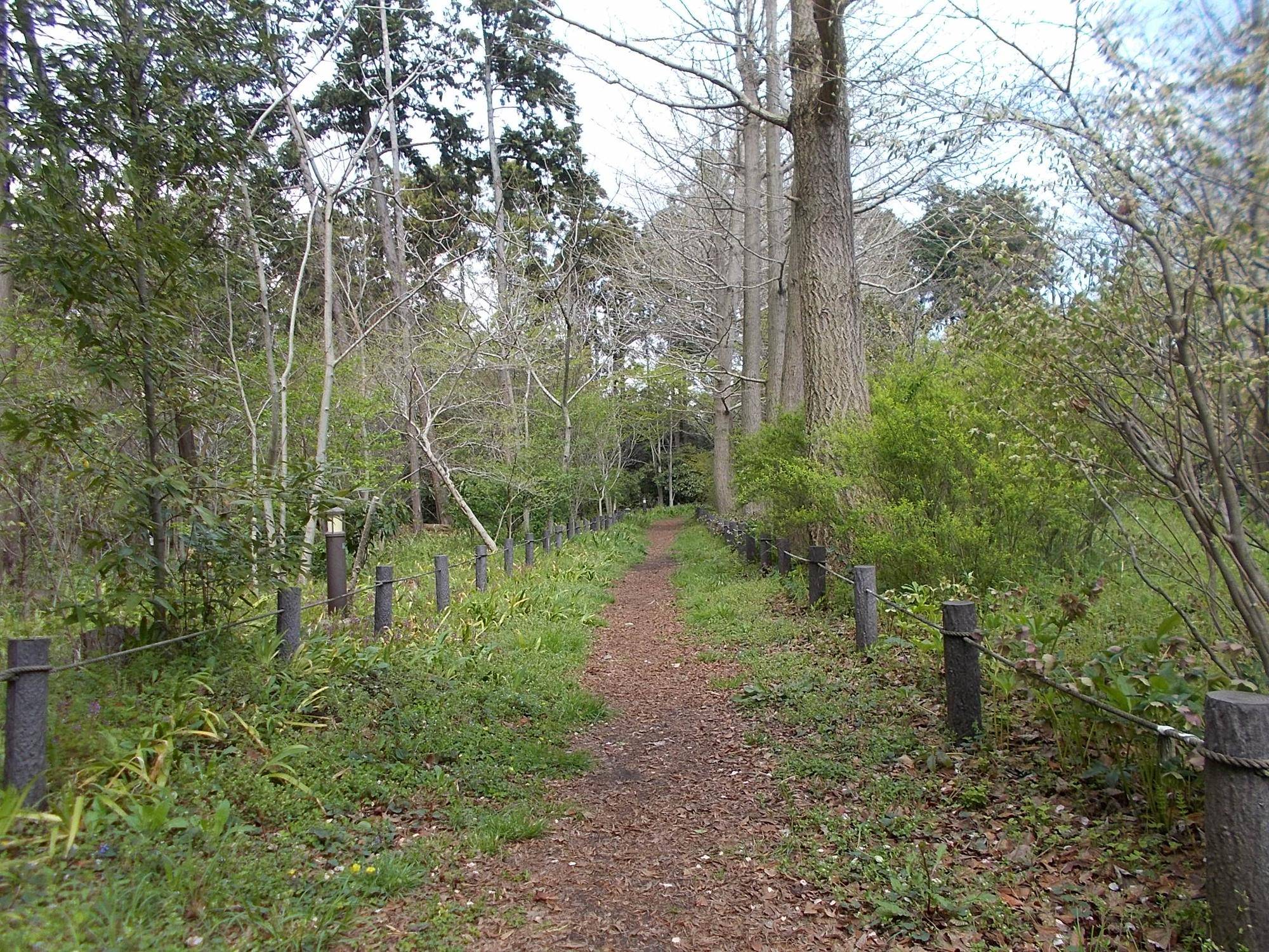 DSCN1611.jpg