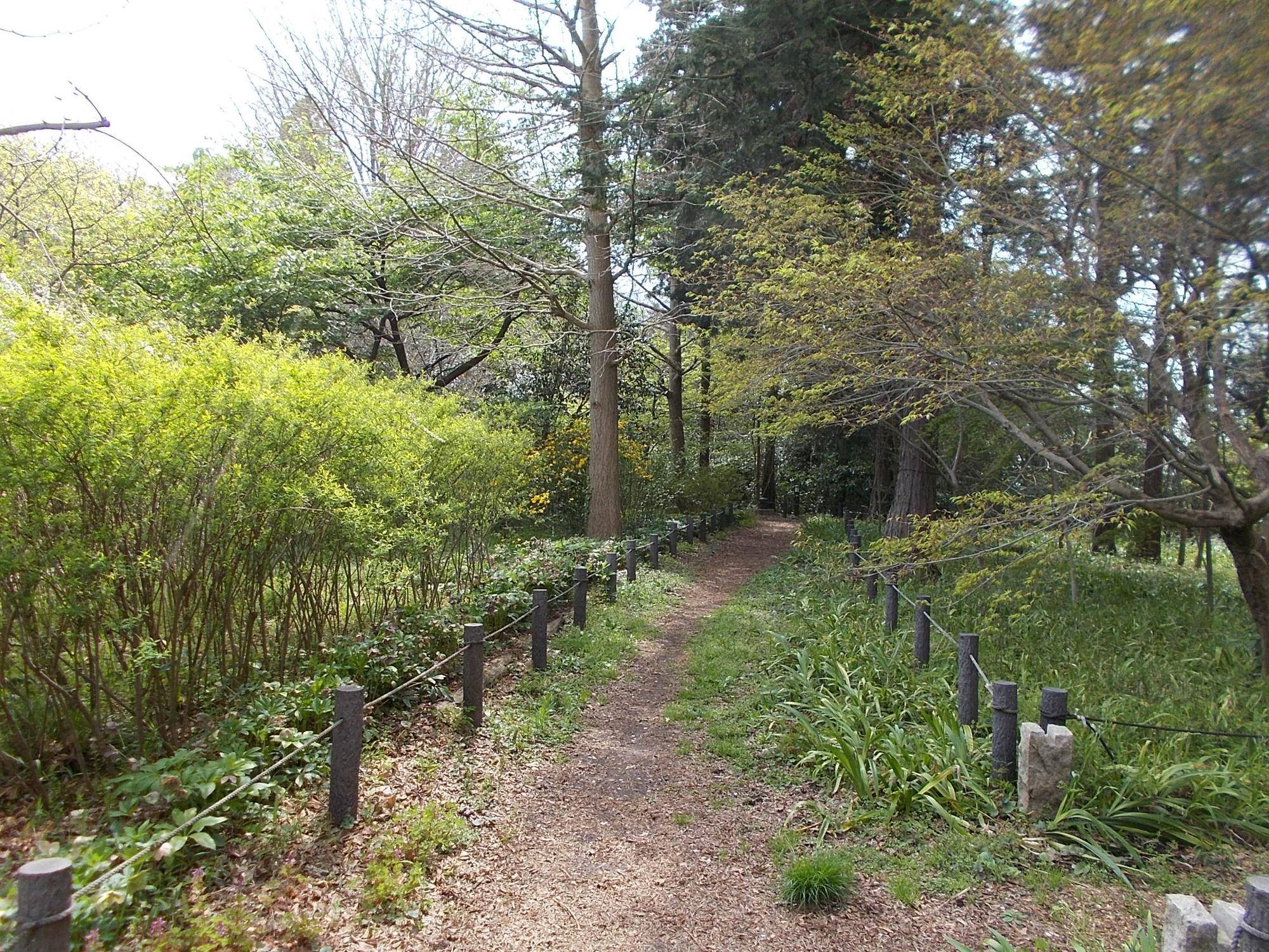 DSCN1613.jpg