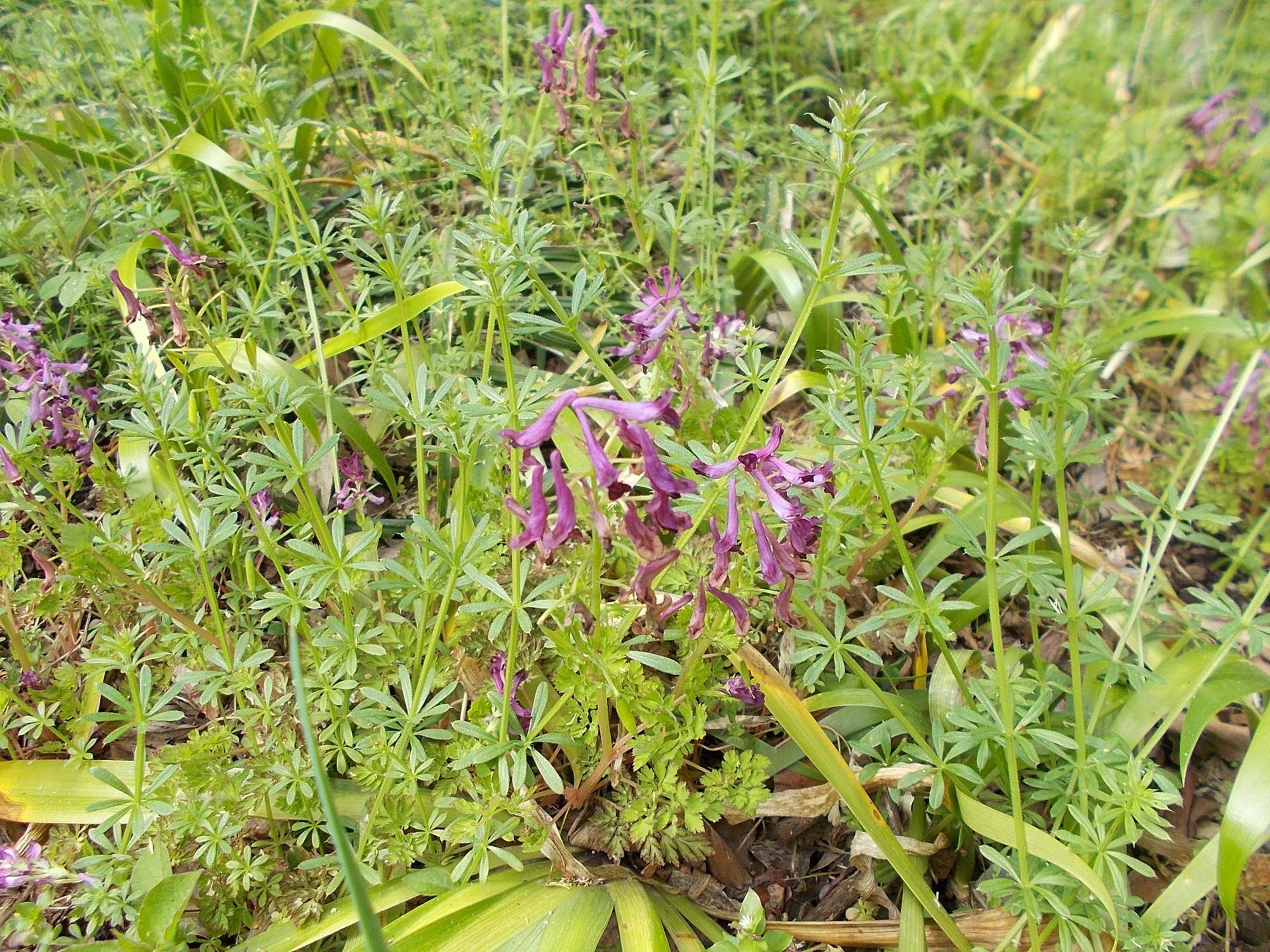 DSCN1614.jpg