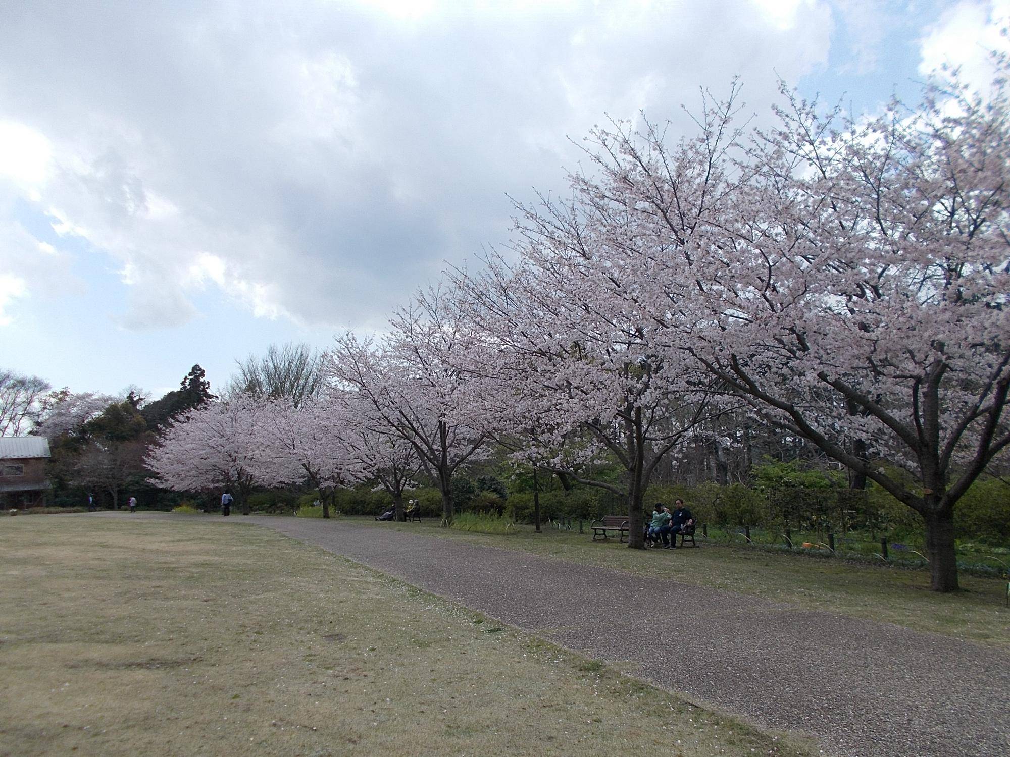 DSCN1618.jpg