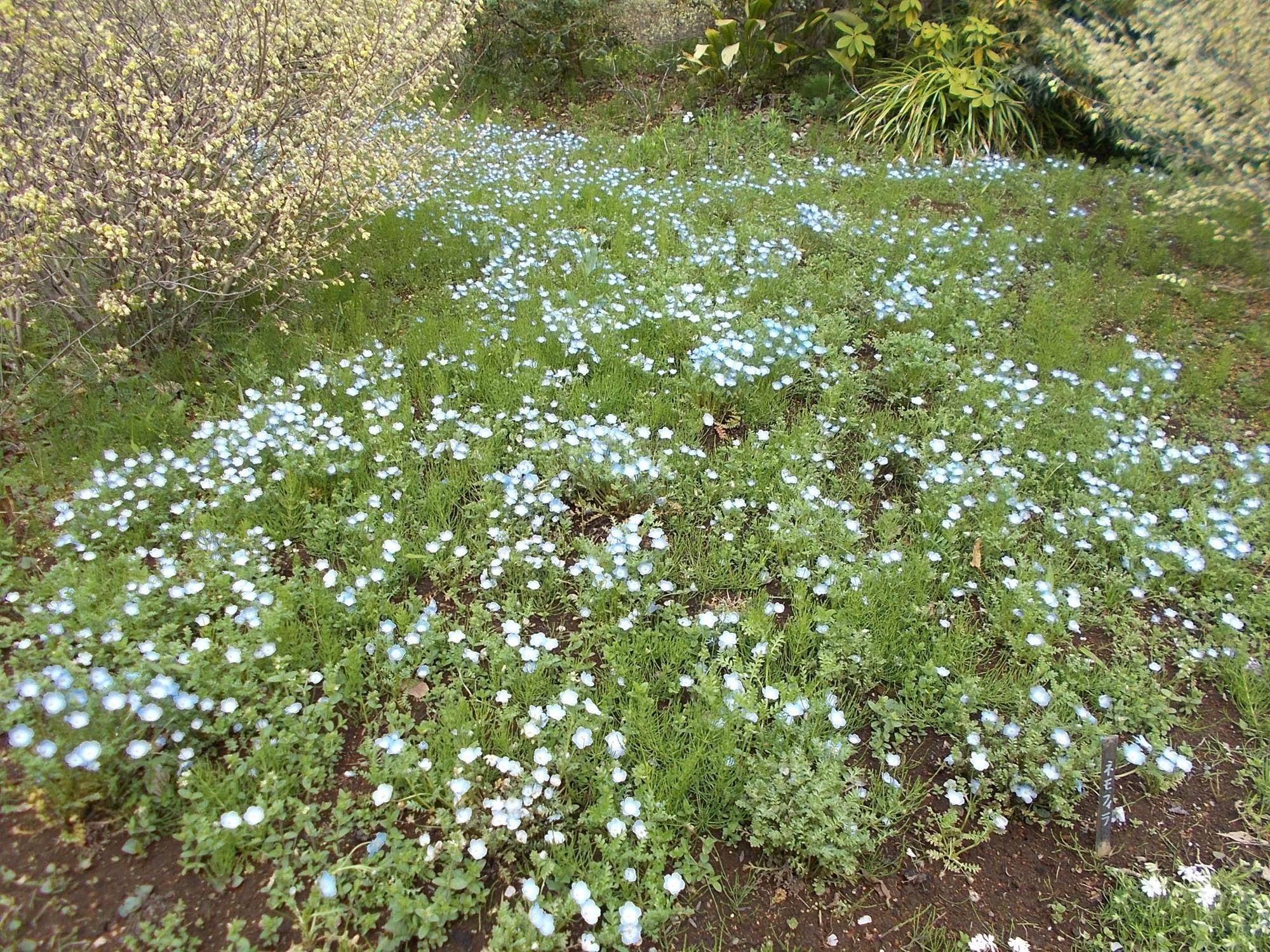 DSCN1620.jpg