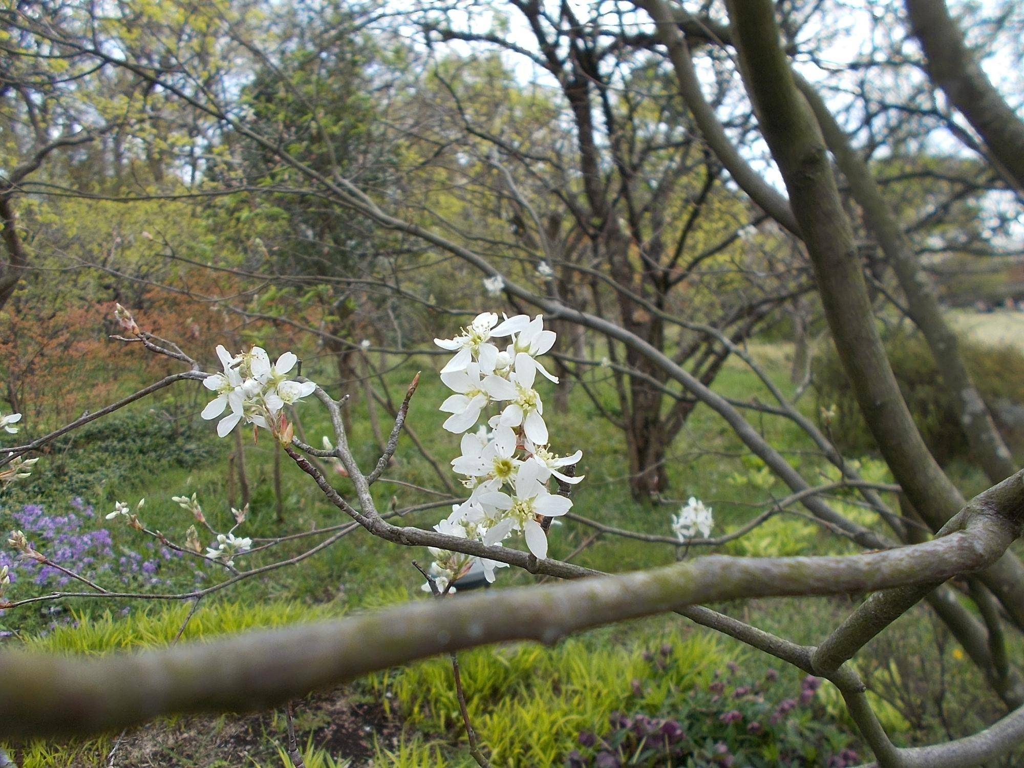 DSCN1625.jpg
