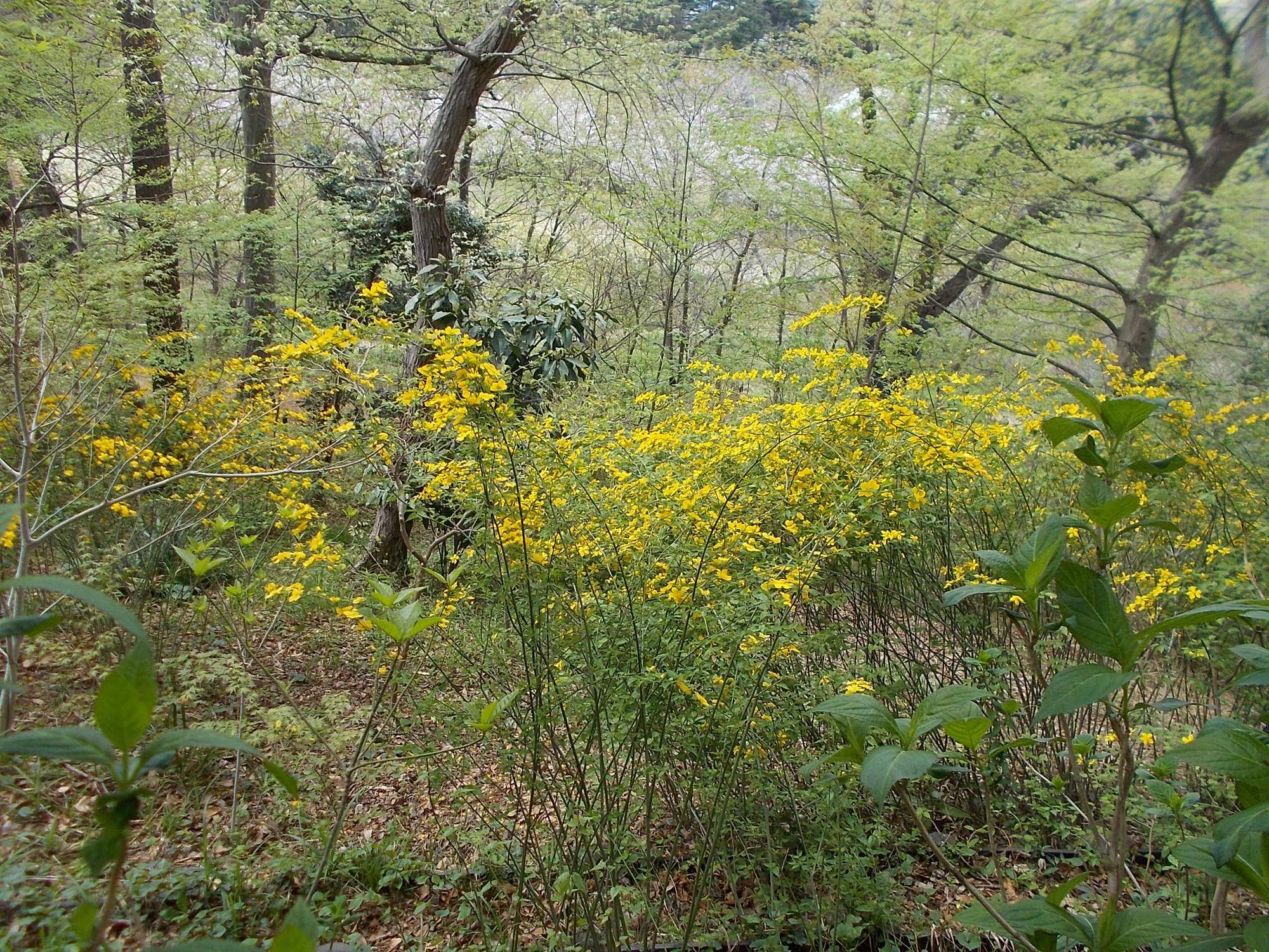 DSCN1627.jpg