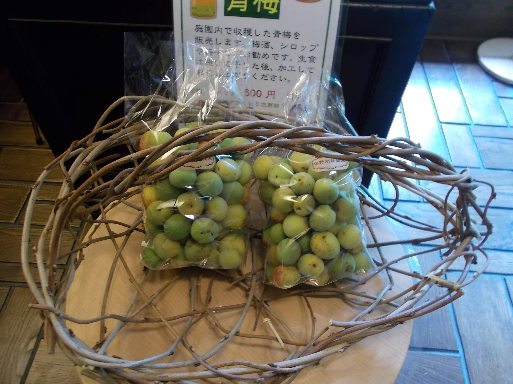 DSCN9579.jpg