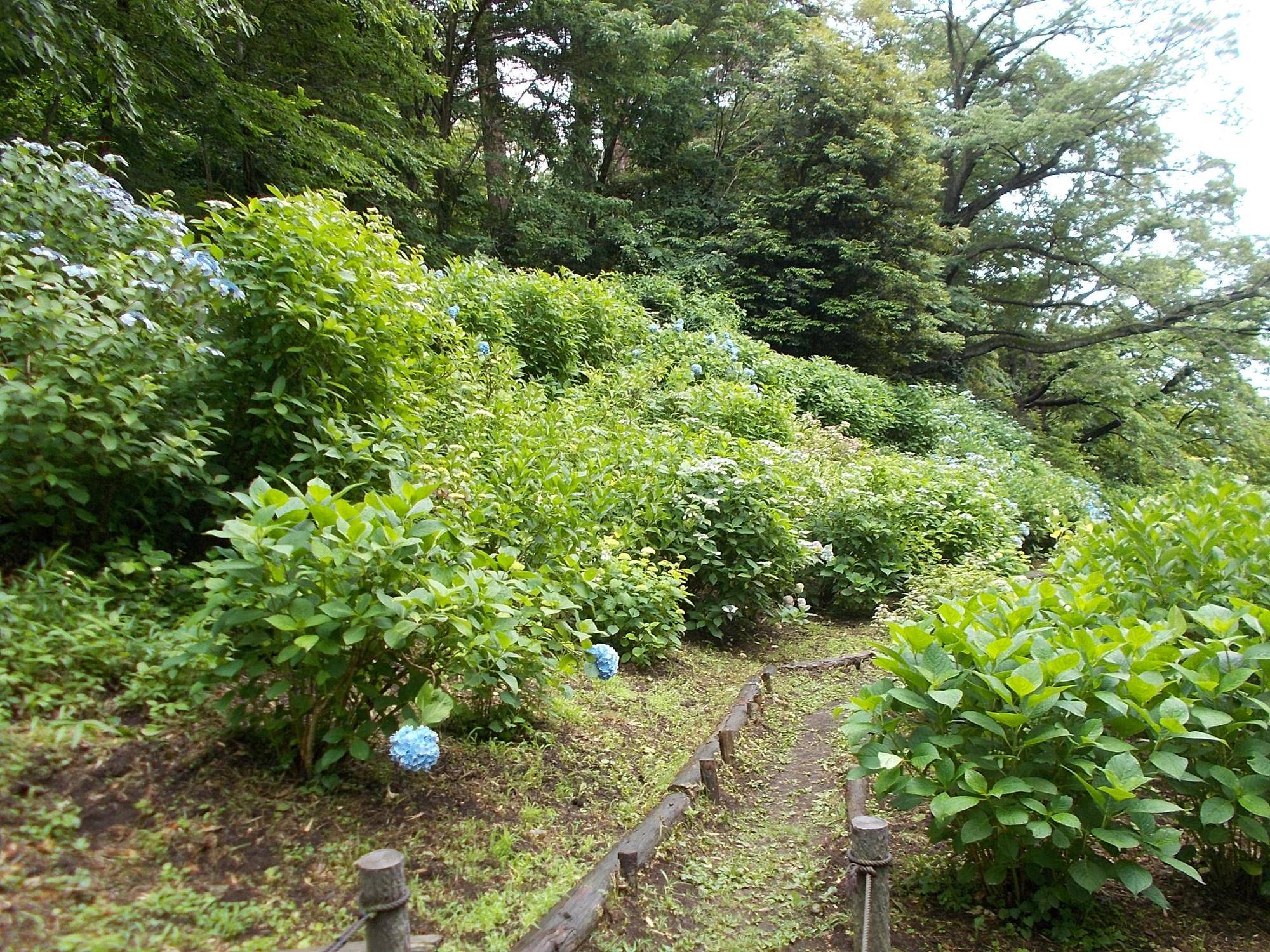 DSCN9598.jpg