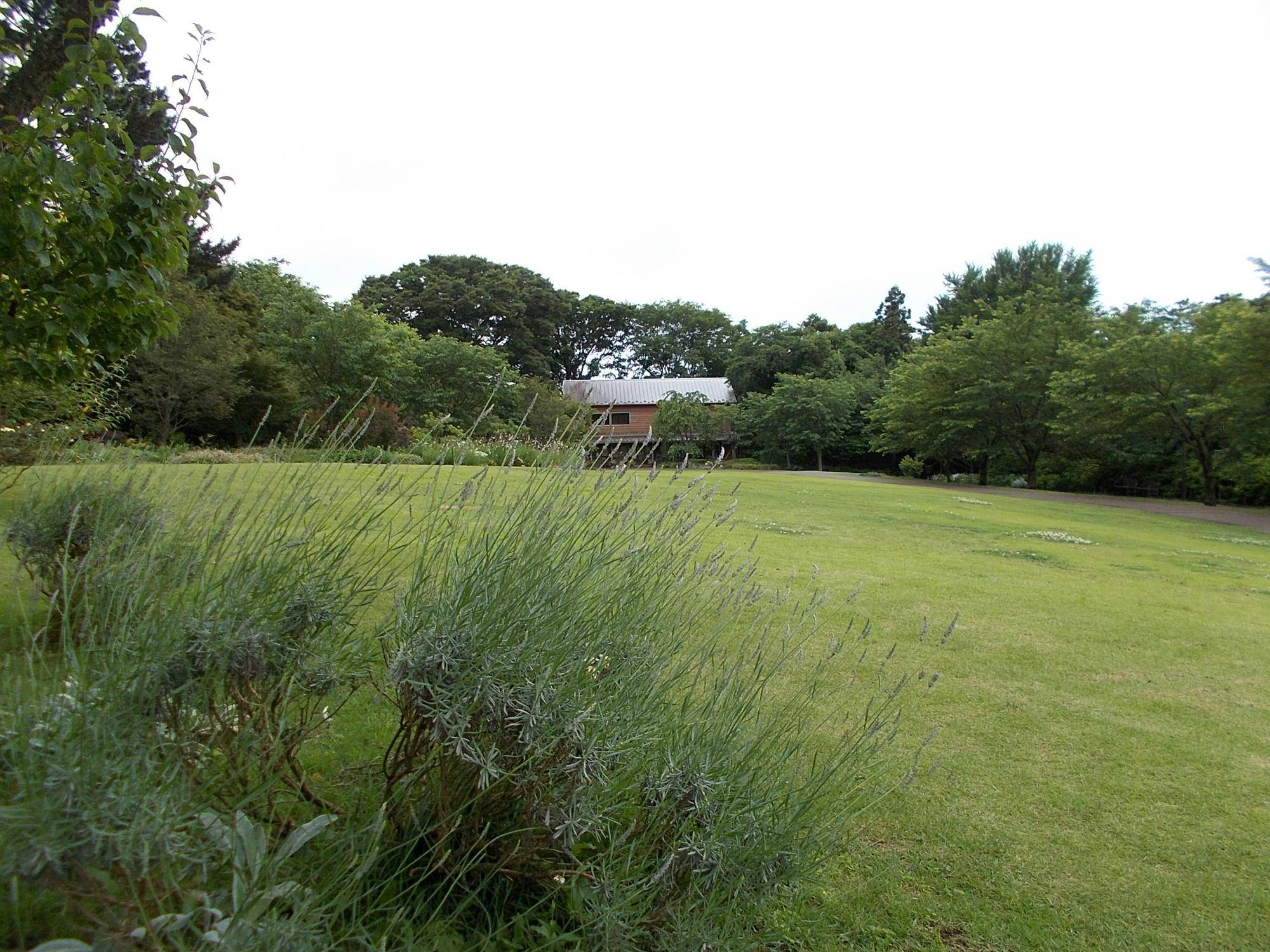 DSCN9607.jpg