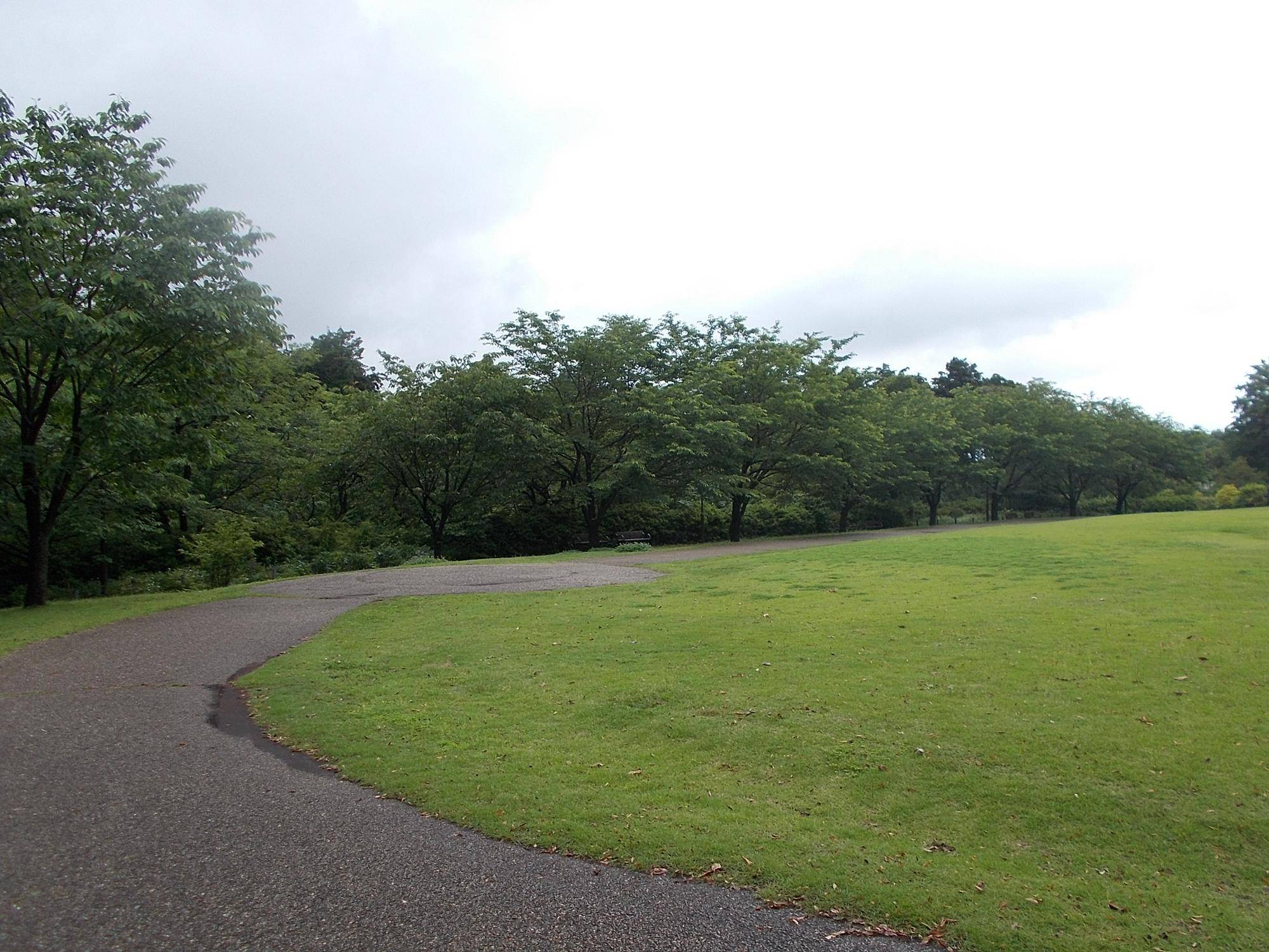DSCN9715.jpg