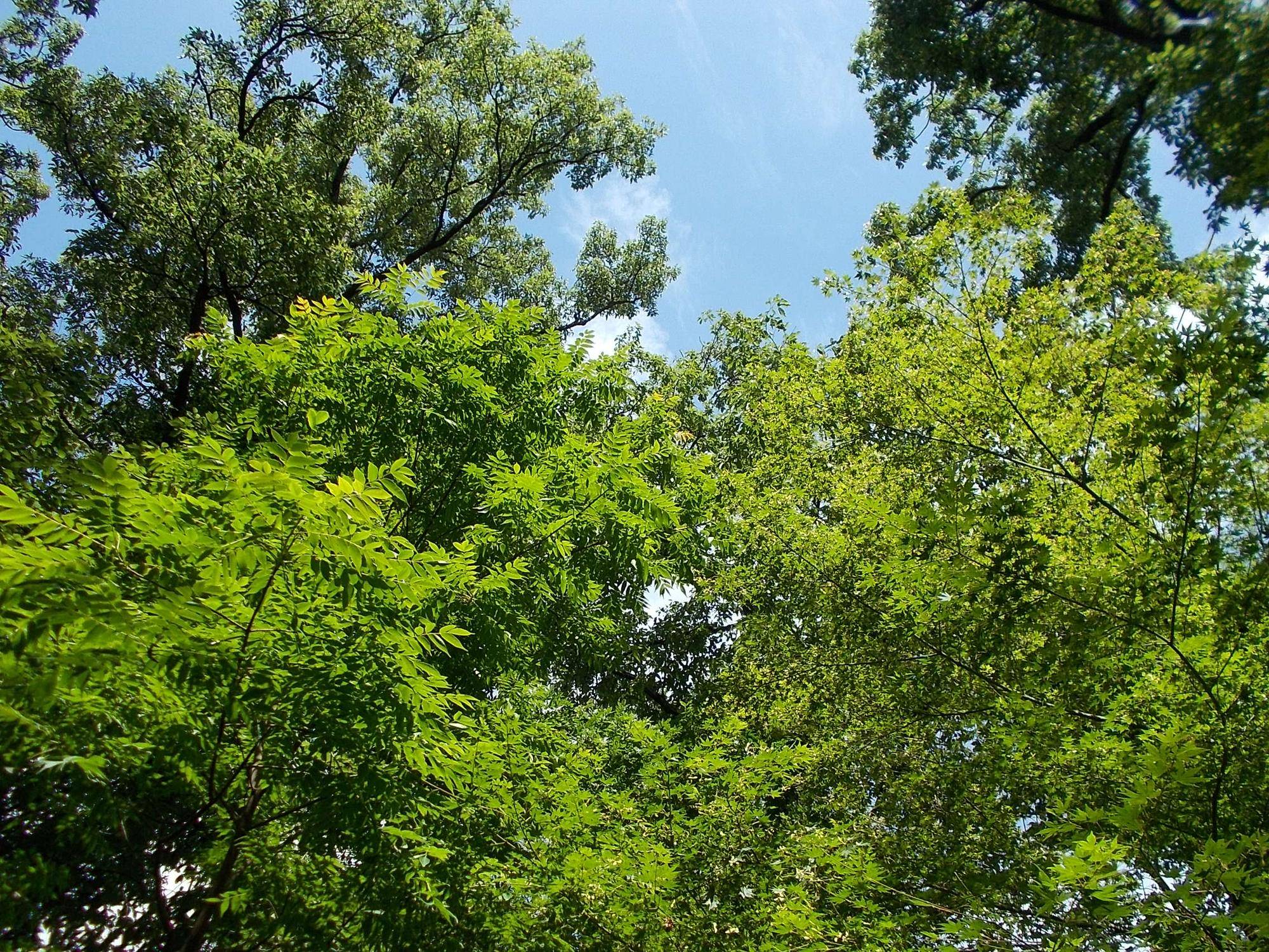 DSCN9652.jpg