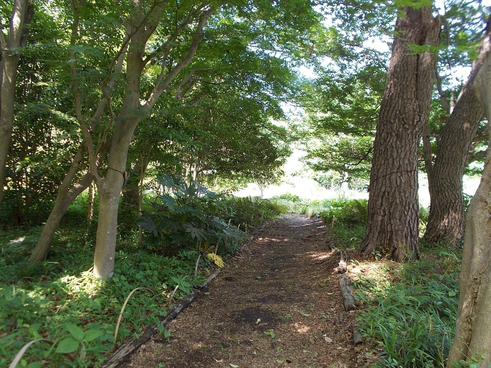 DSCN9647.jpg