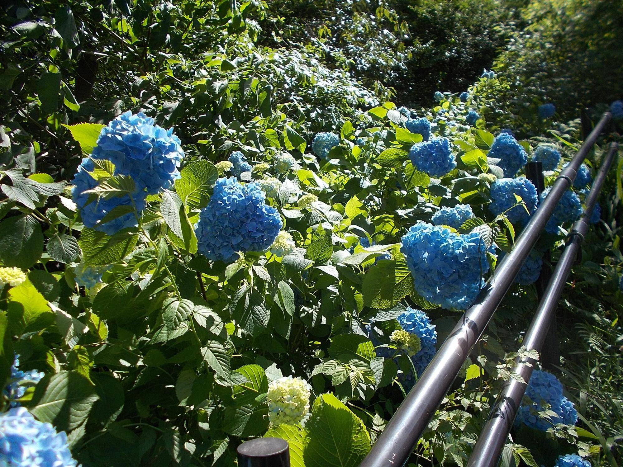 DSCN9621.jpg