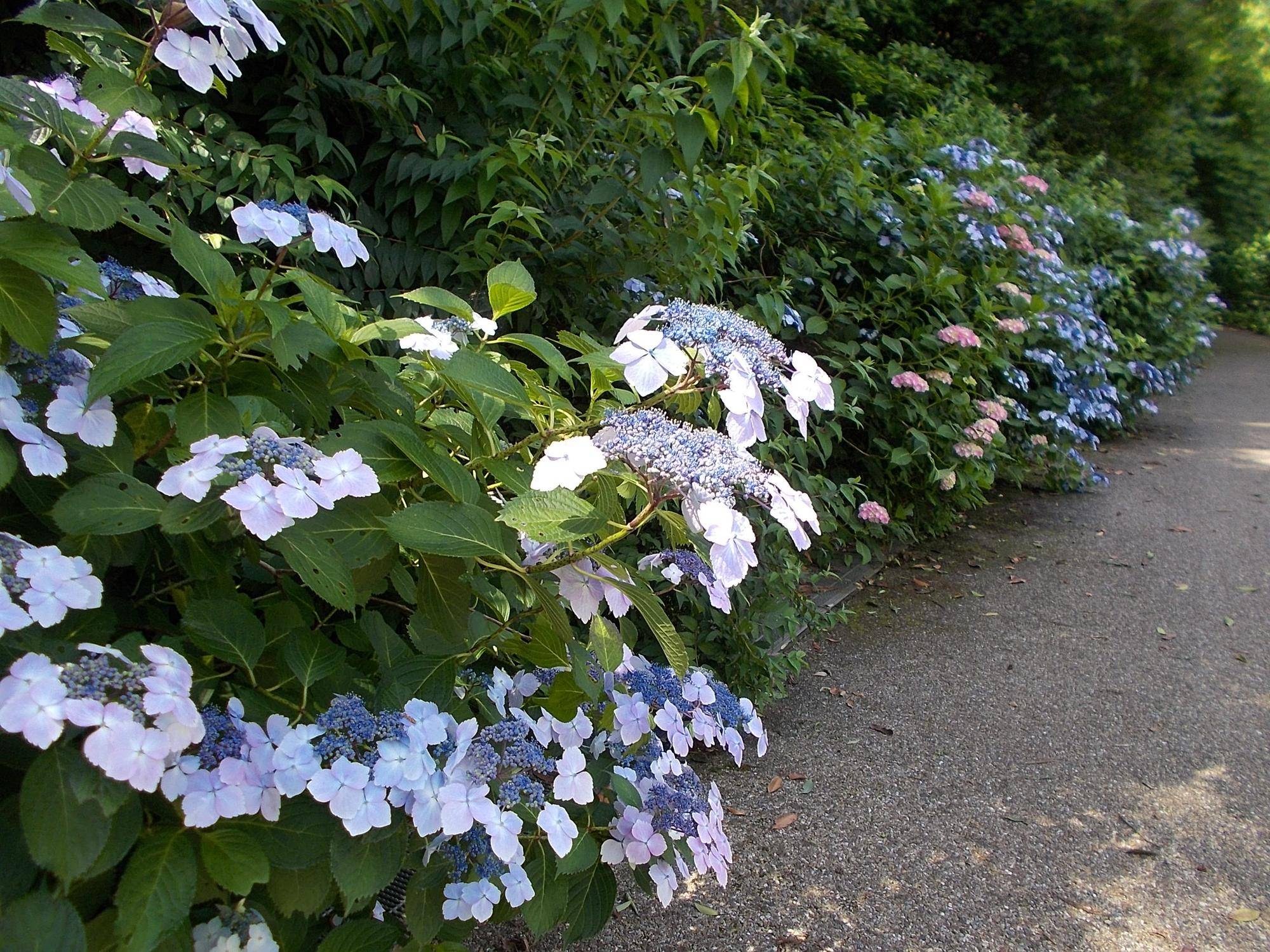 DSCN9622.jpg