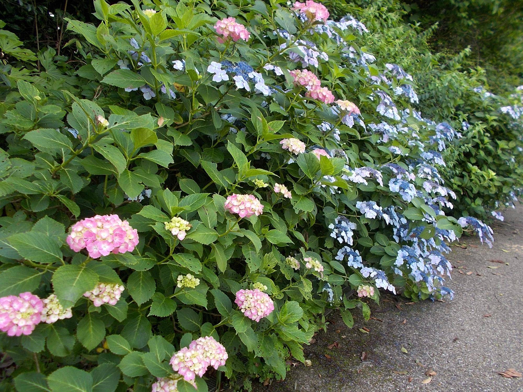 DSCN9623.jpg