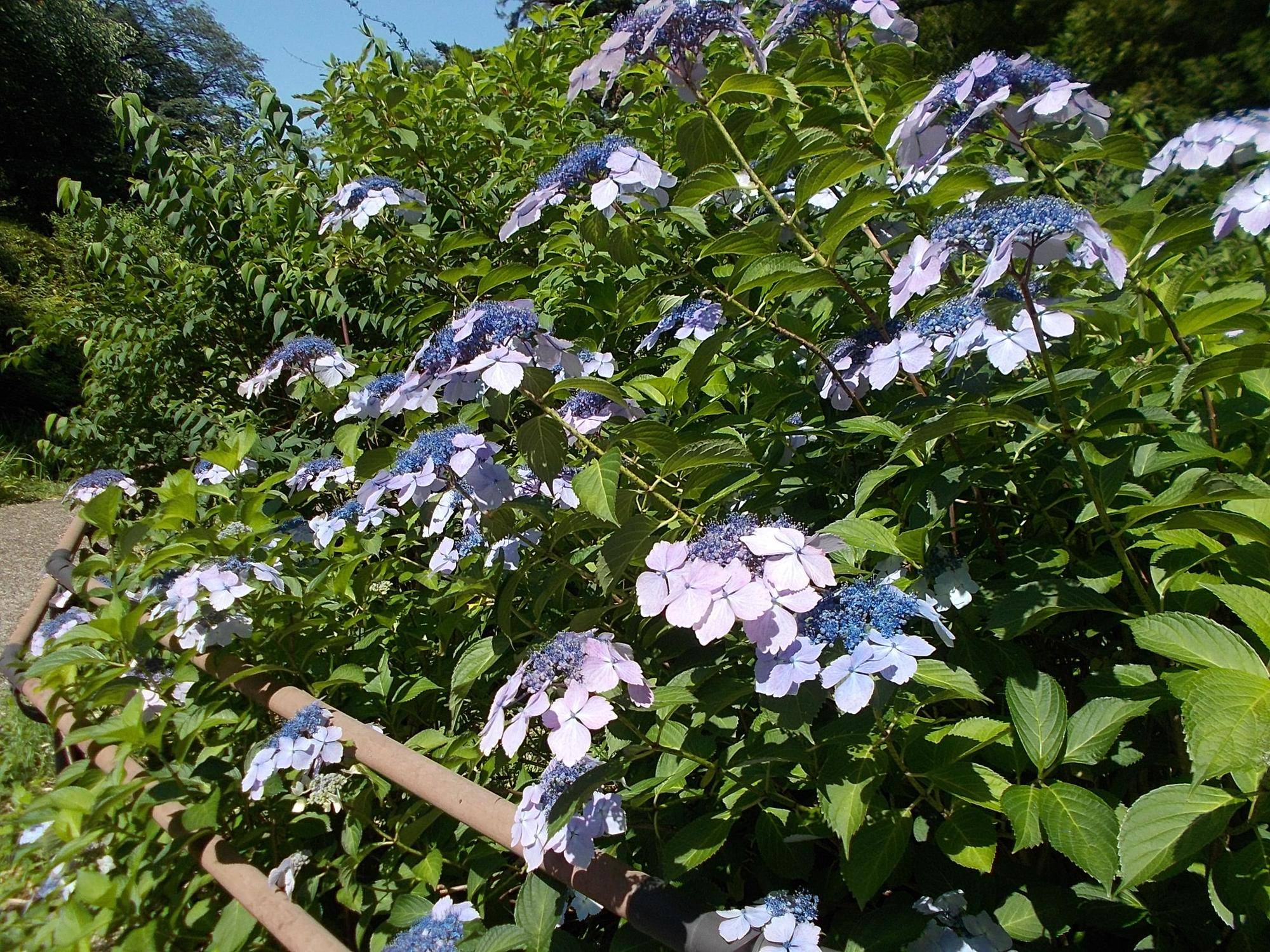 DSCN9625.jpg