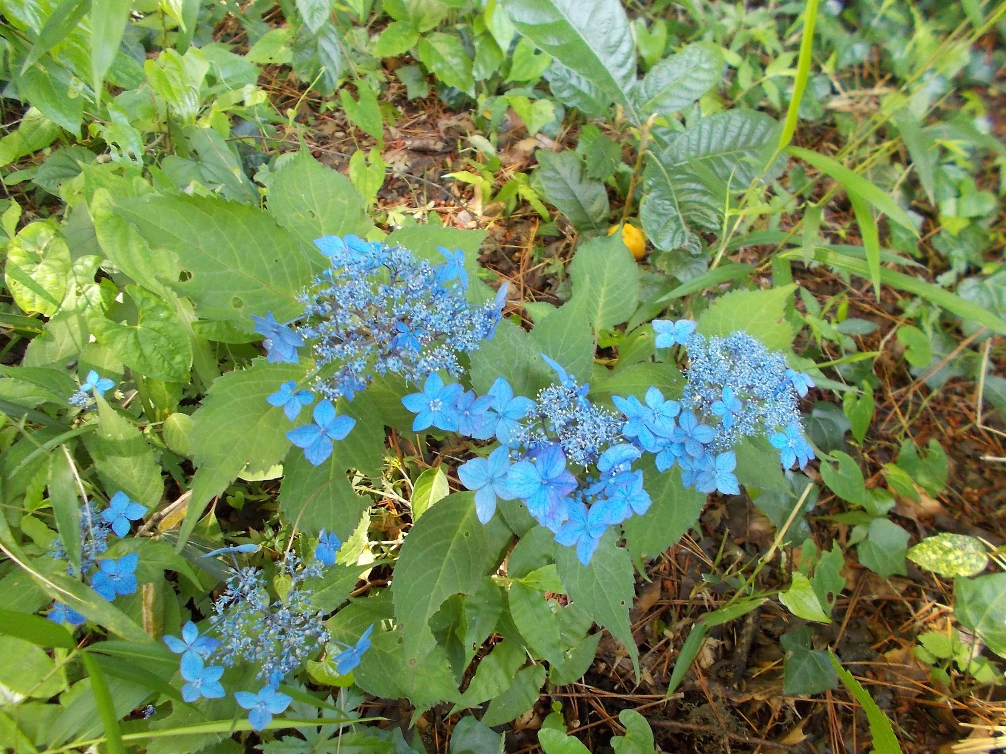 DSCN9644.jpg