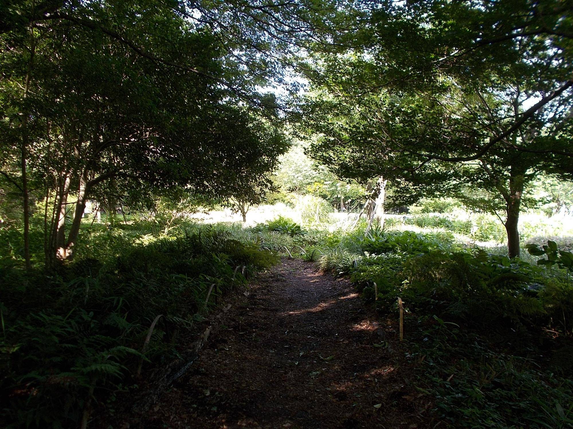 DSCN9648.jpg