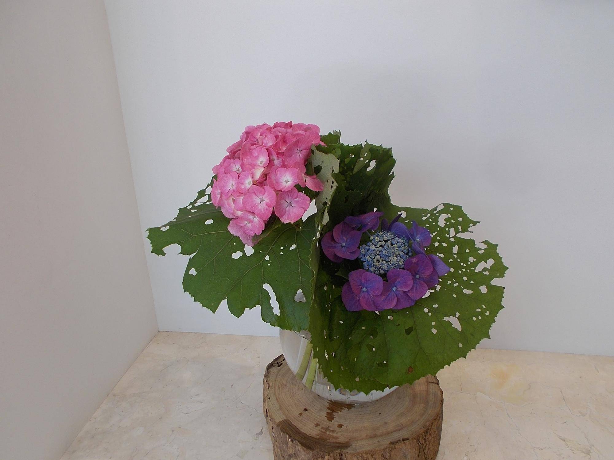 DSCN9657.jpg