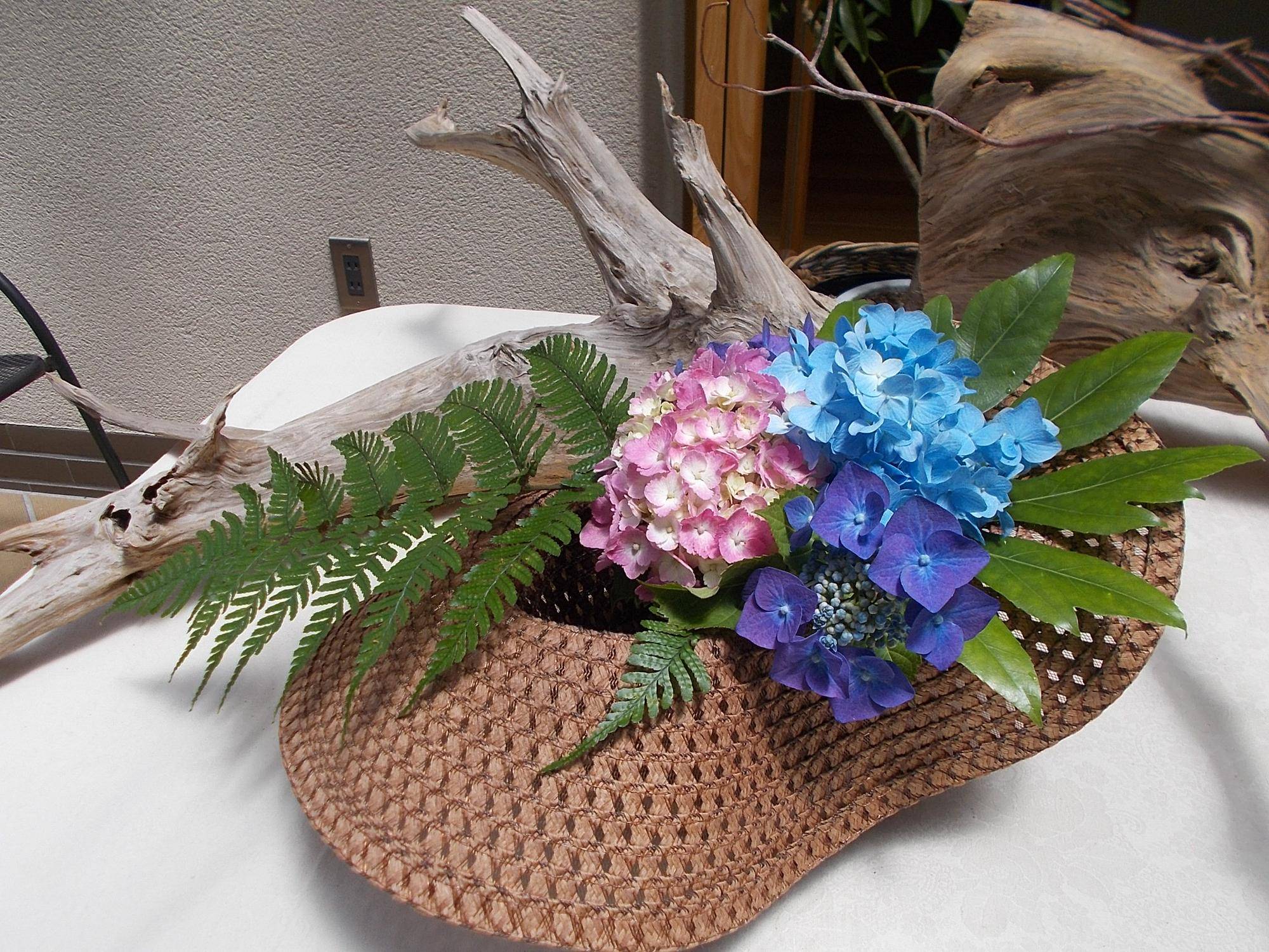 DSCN9658.jpg