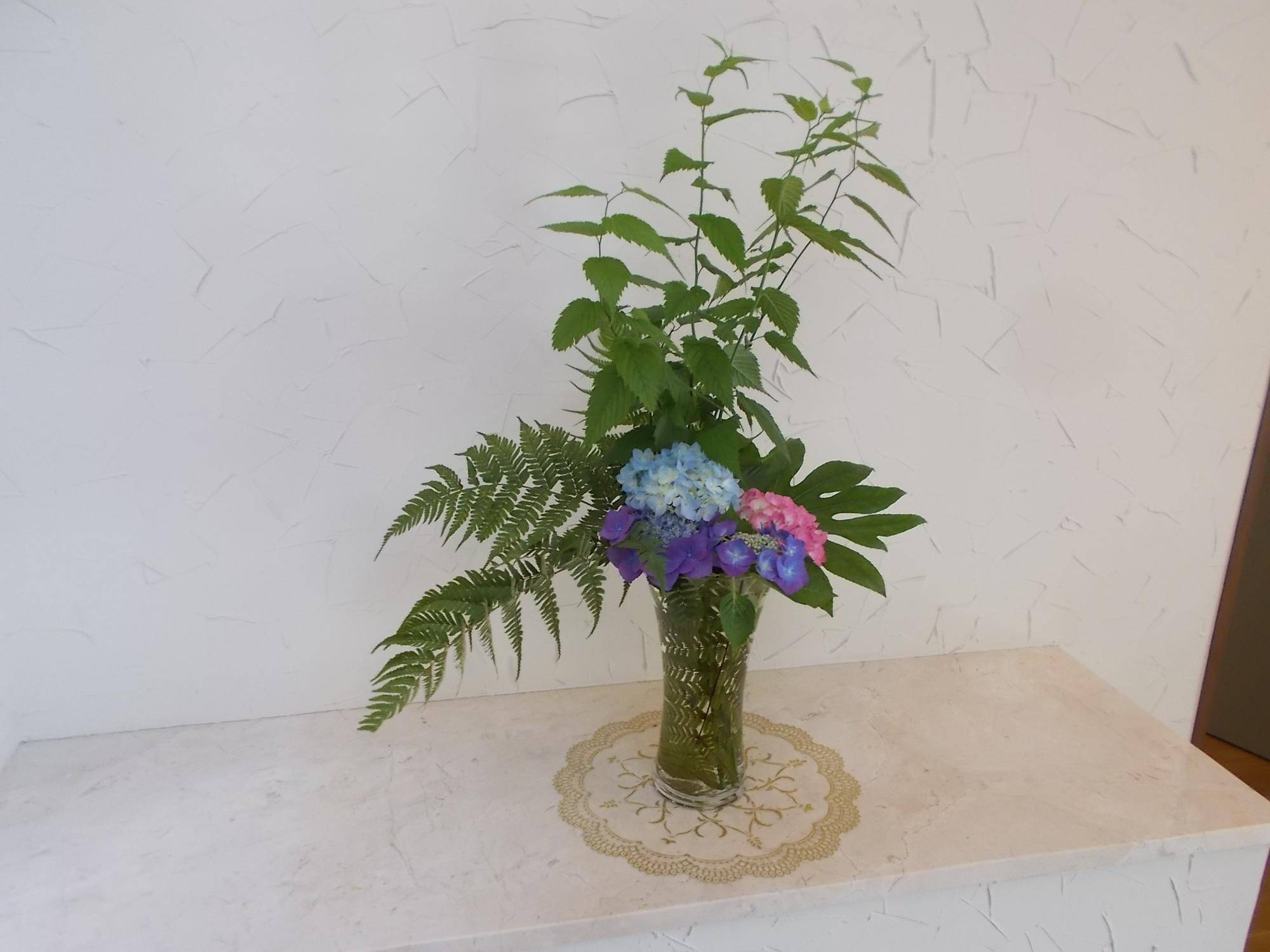 DSCN9660.jpg