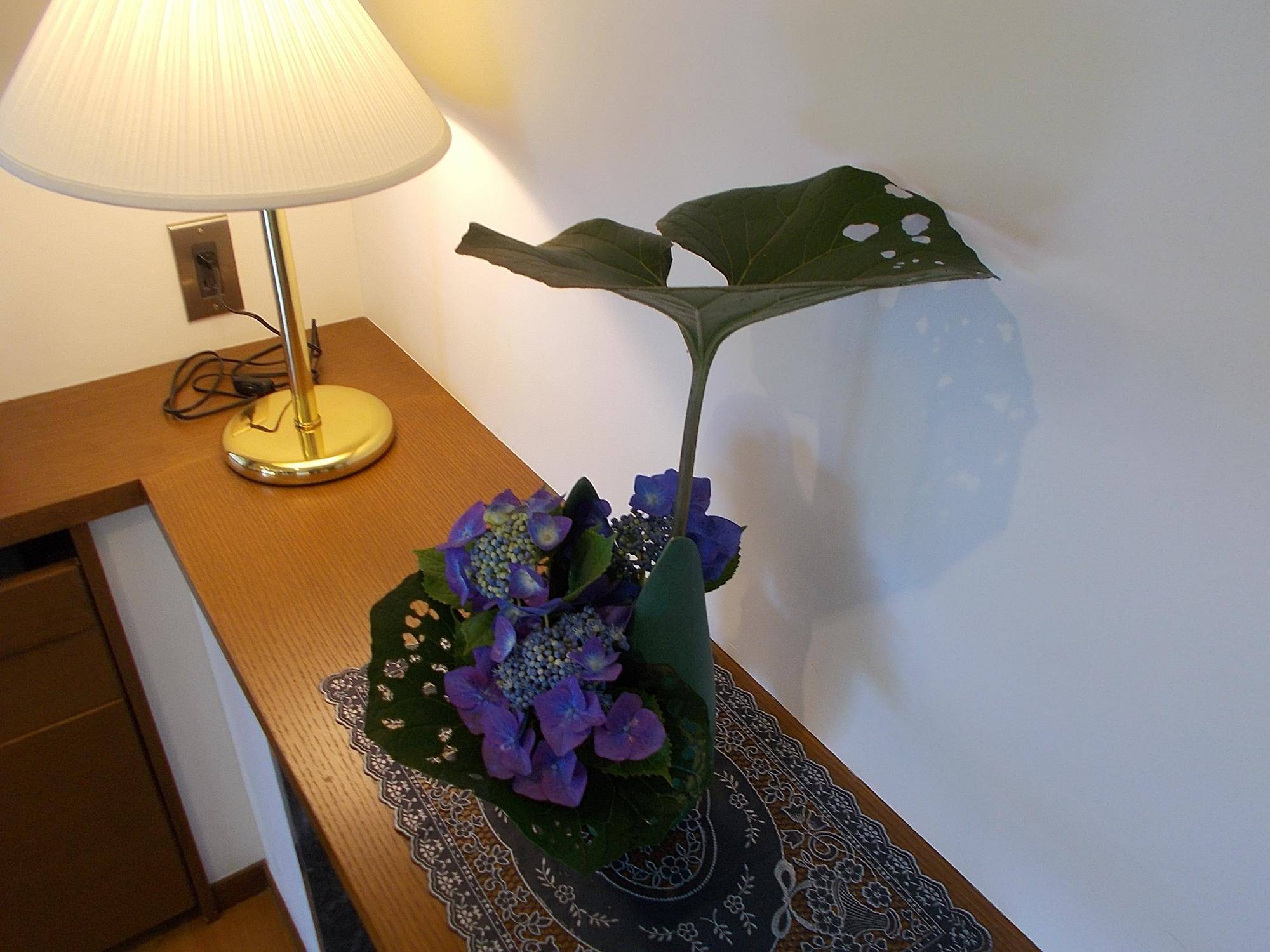 DSCN9662.jpg