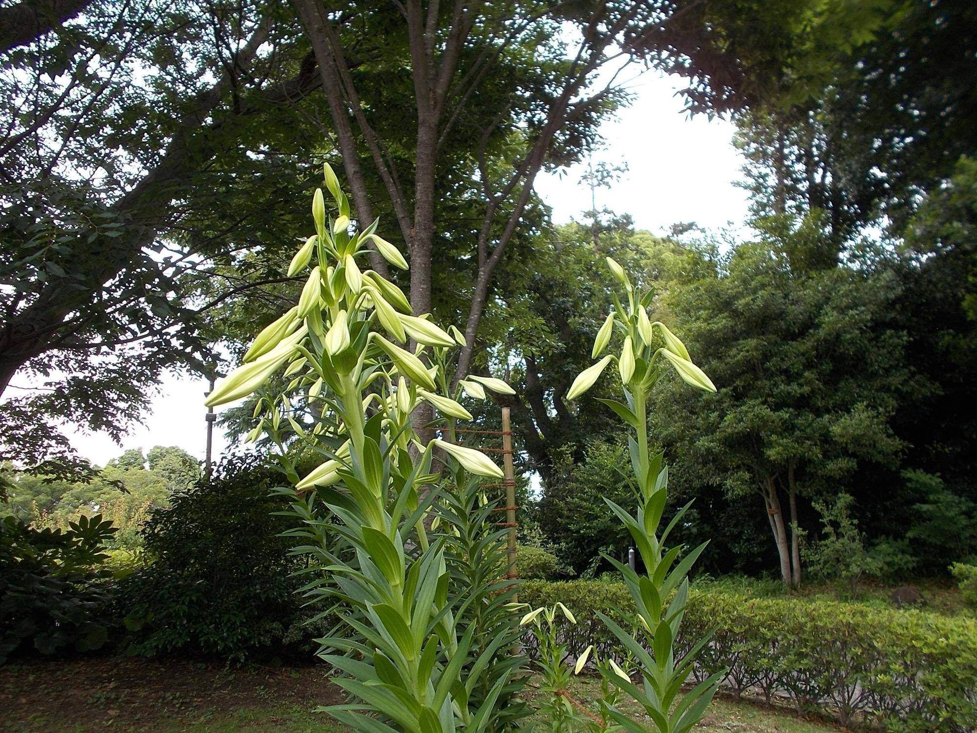 DSCN9666.jpg
