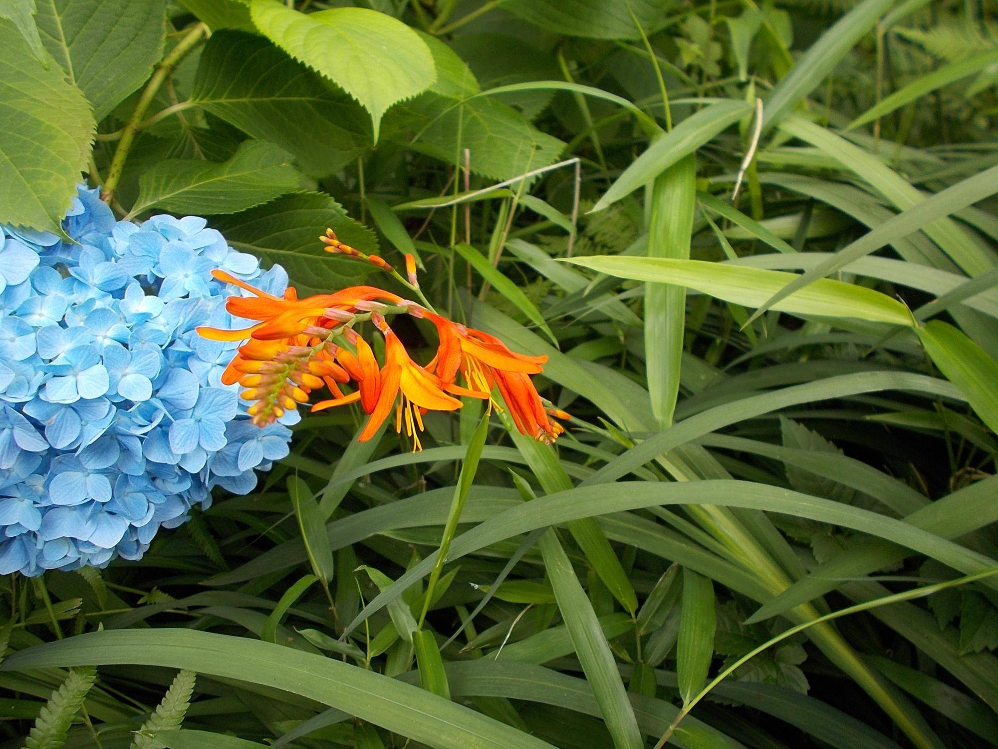 DSCN9667.jpg