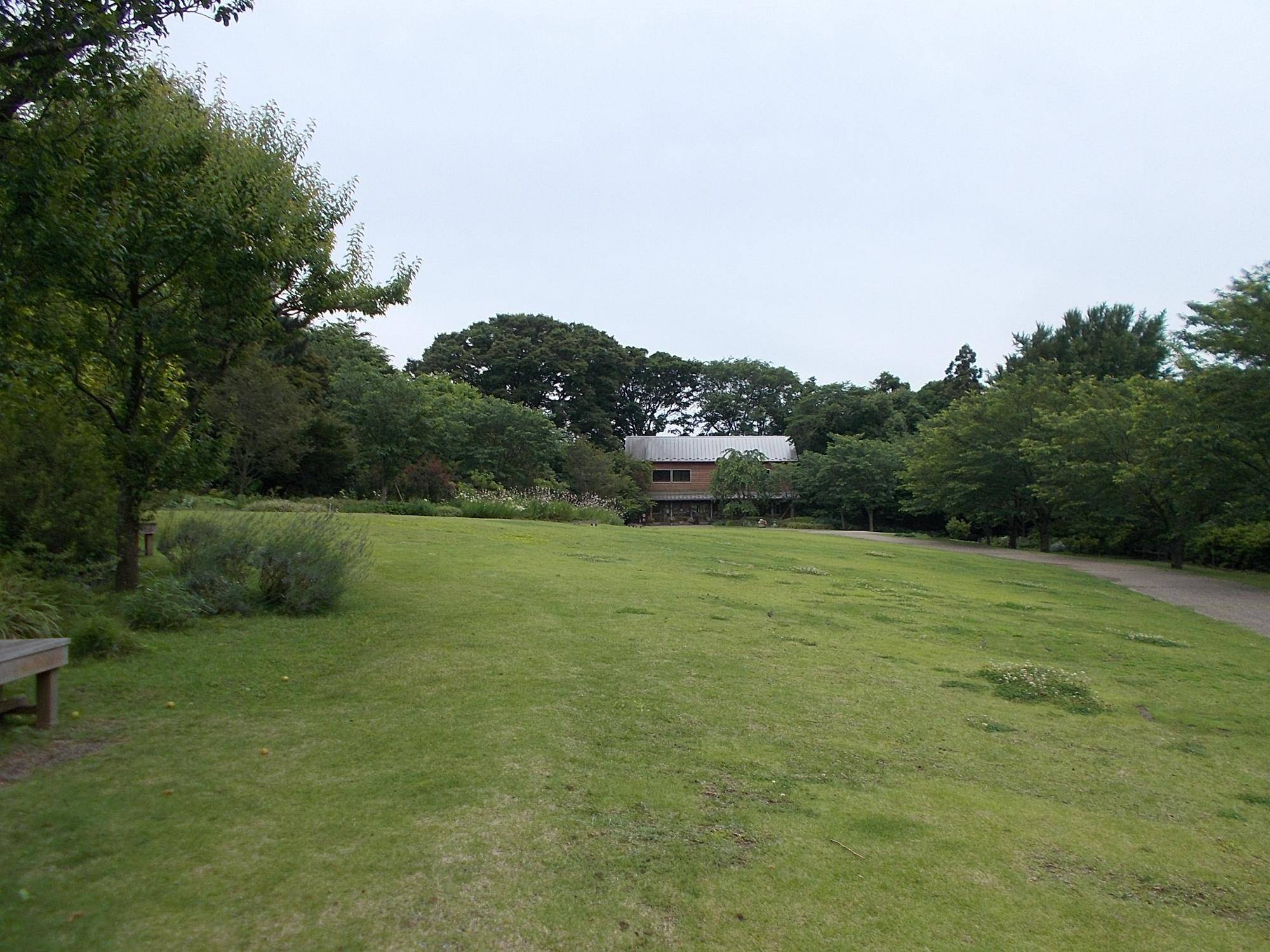 DSCN9676.jpg
