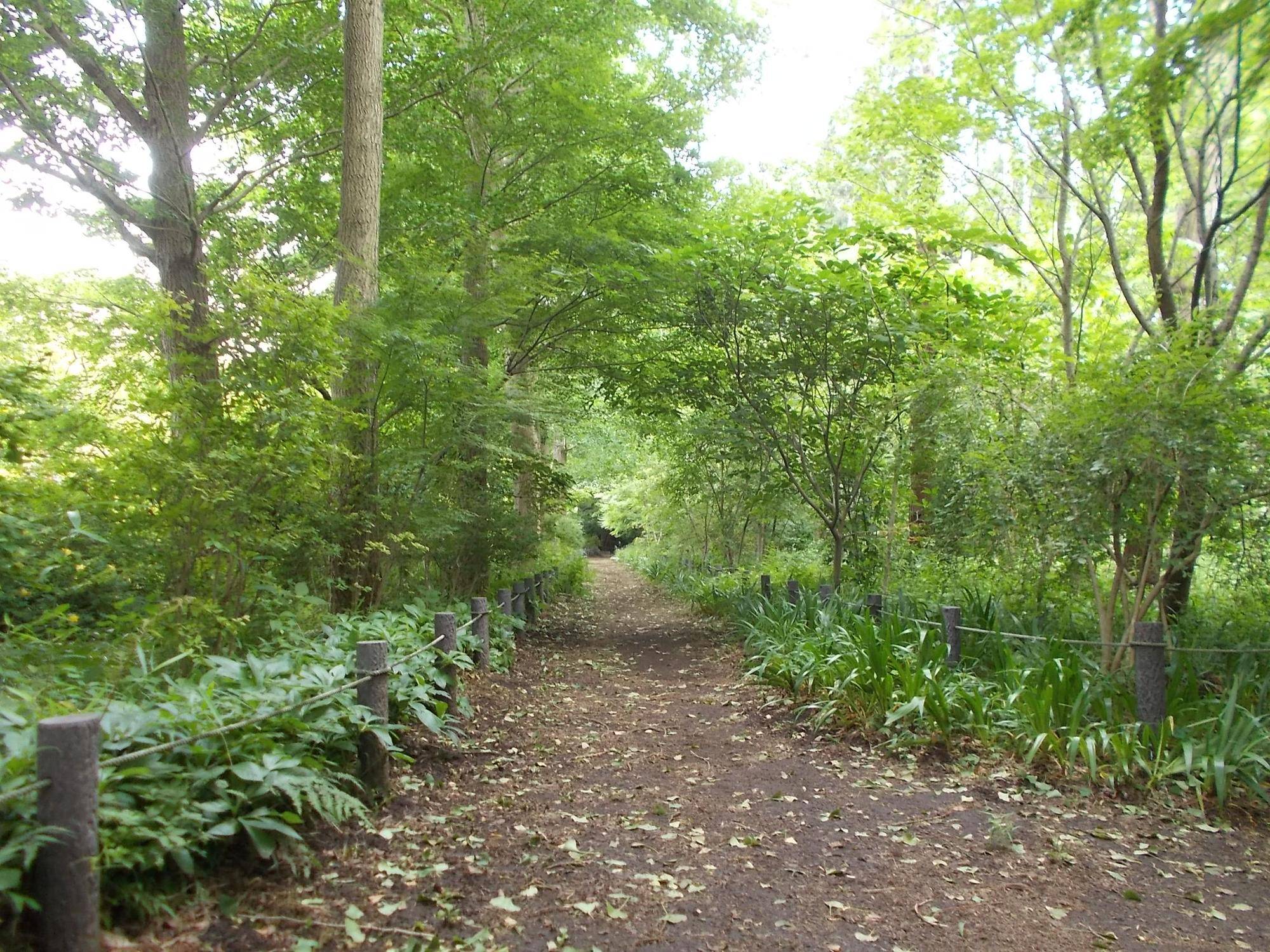 DSCN9677.jpg