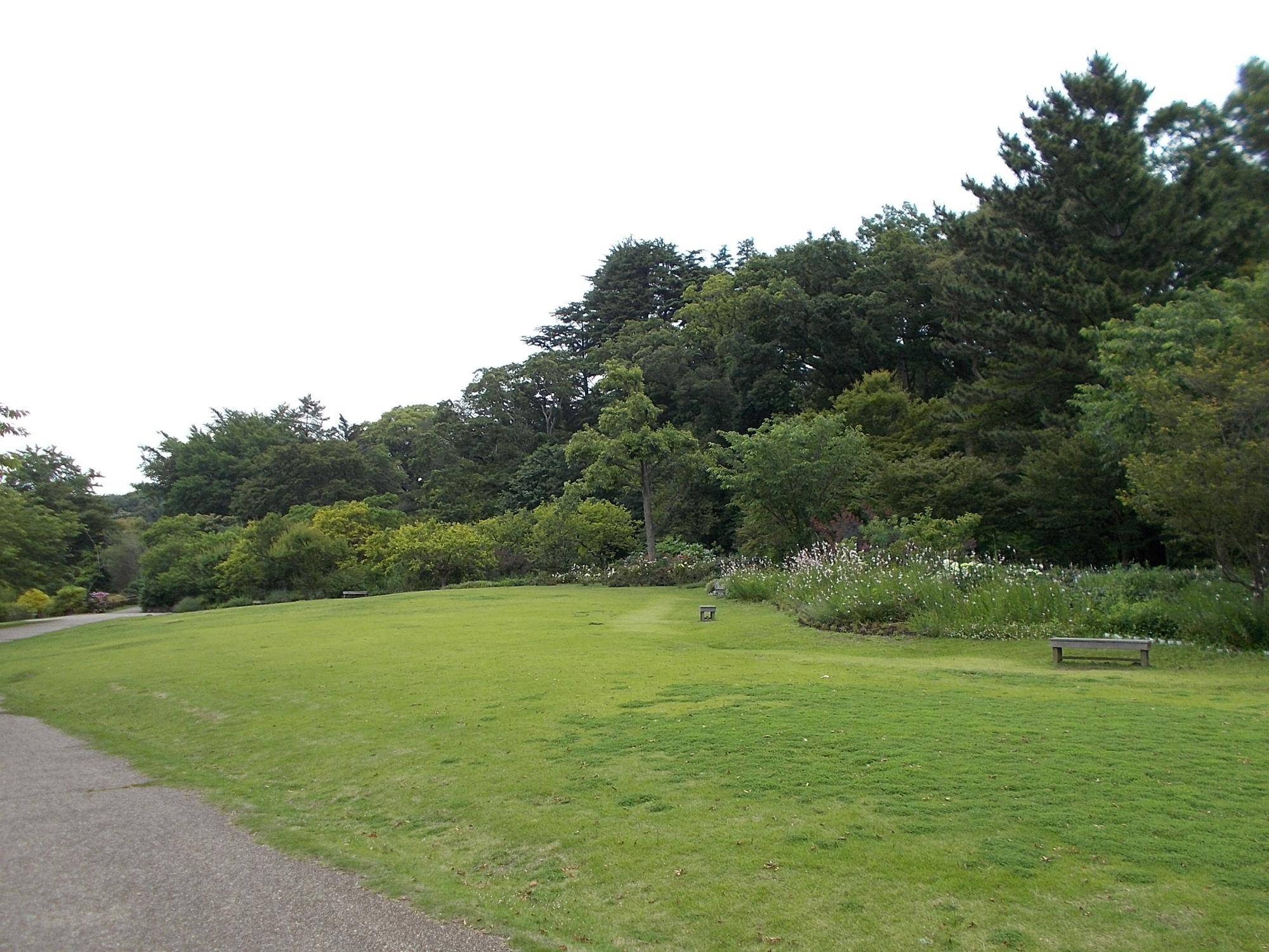 DSCN9678.jpg