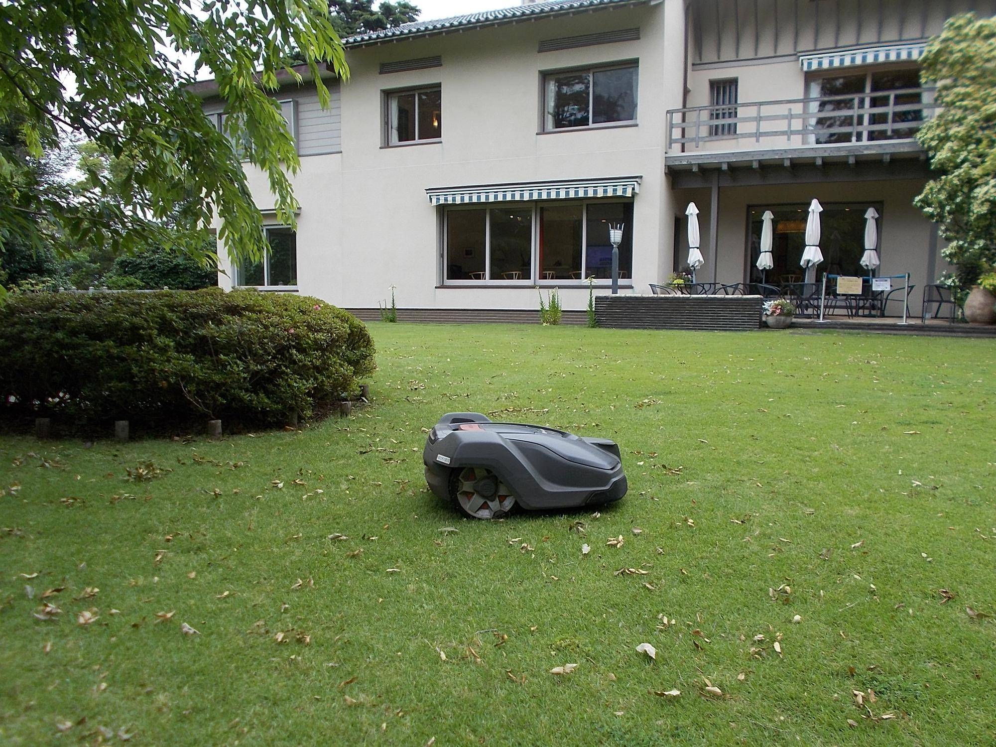 DSCN9687.jpg