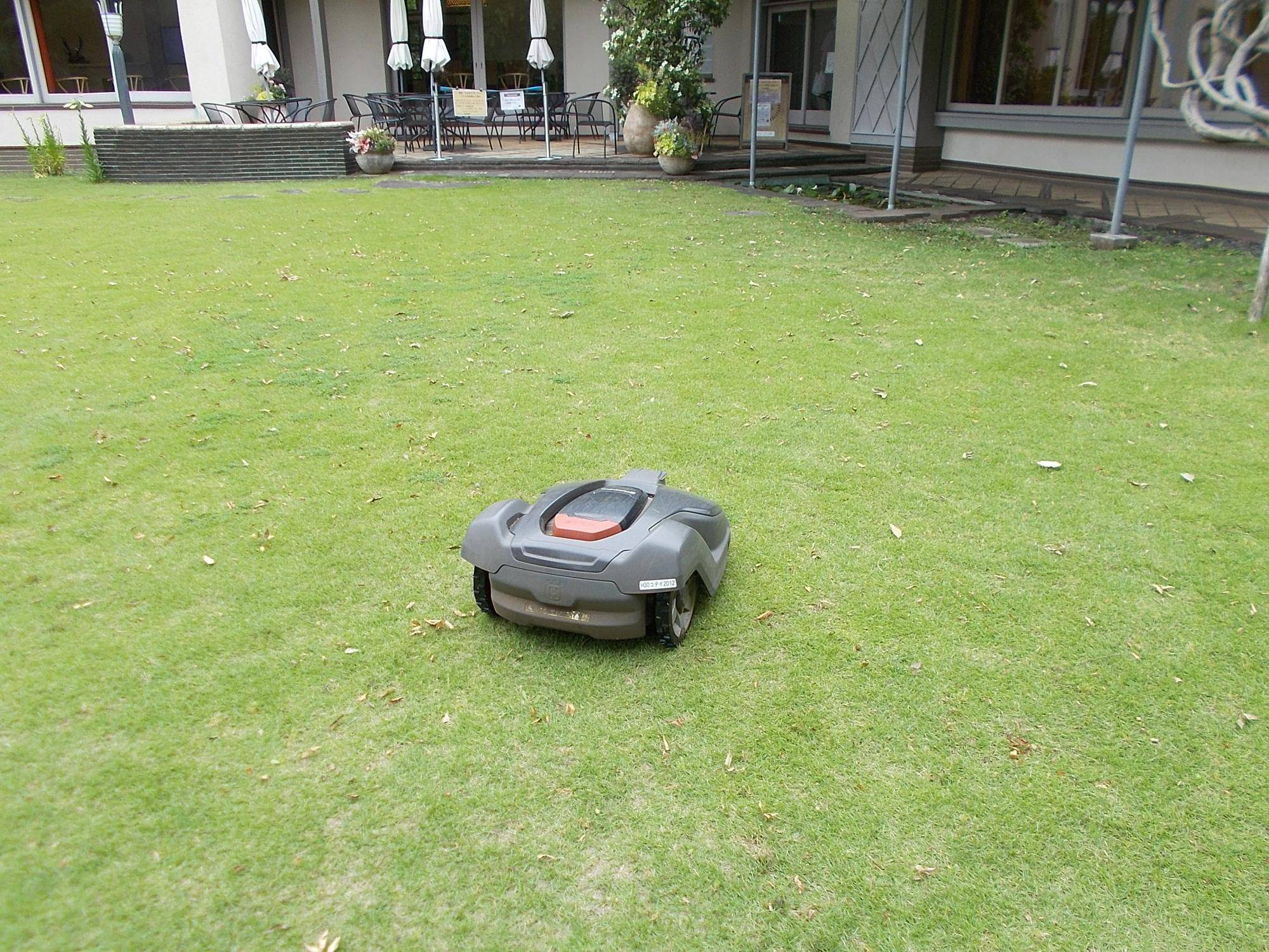 DSCN9689.jpg