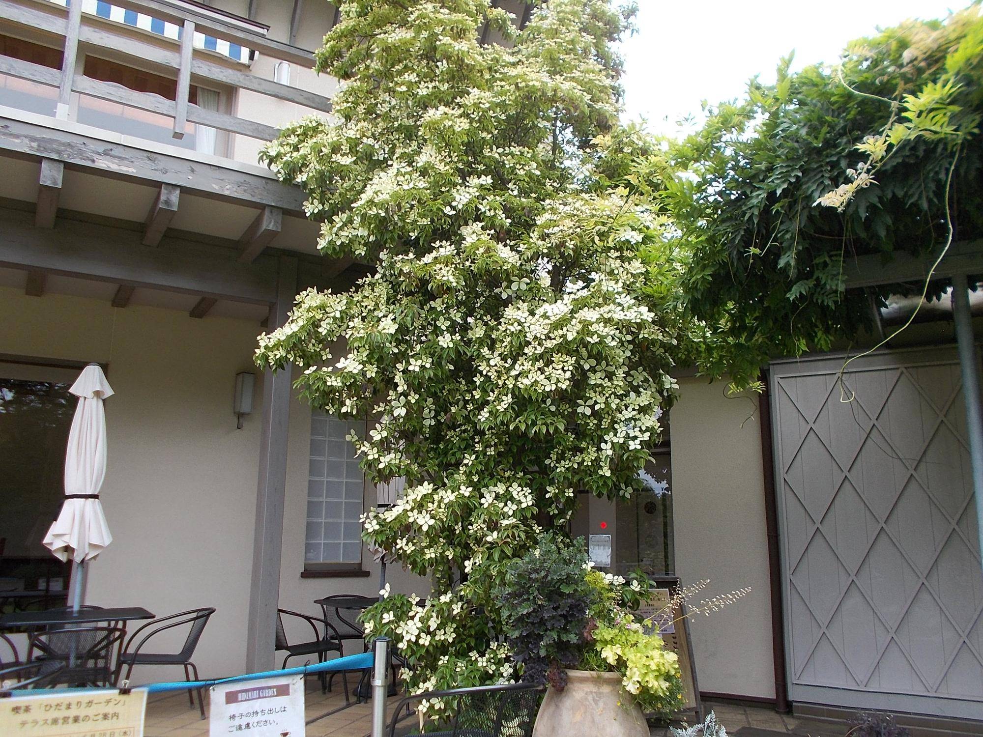 DSCN9692.jpg